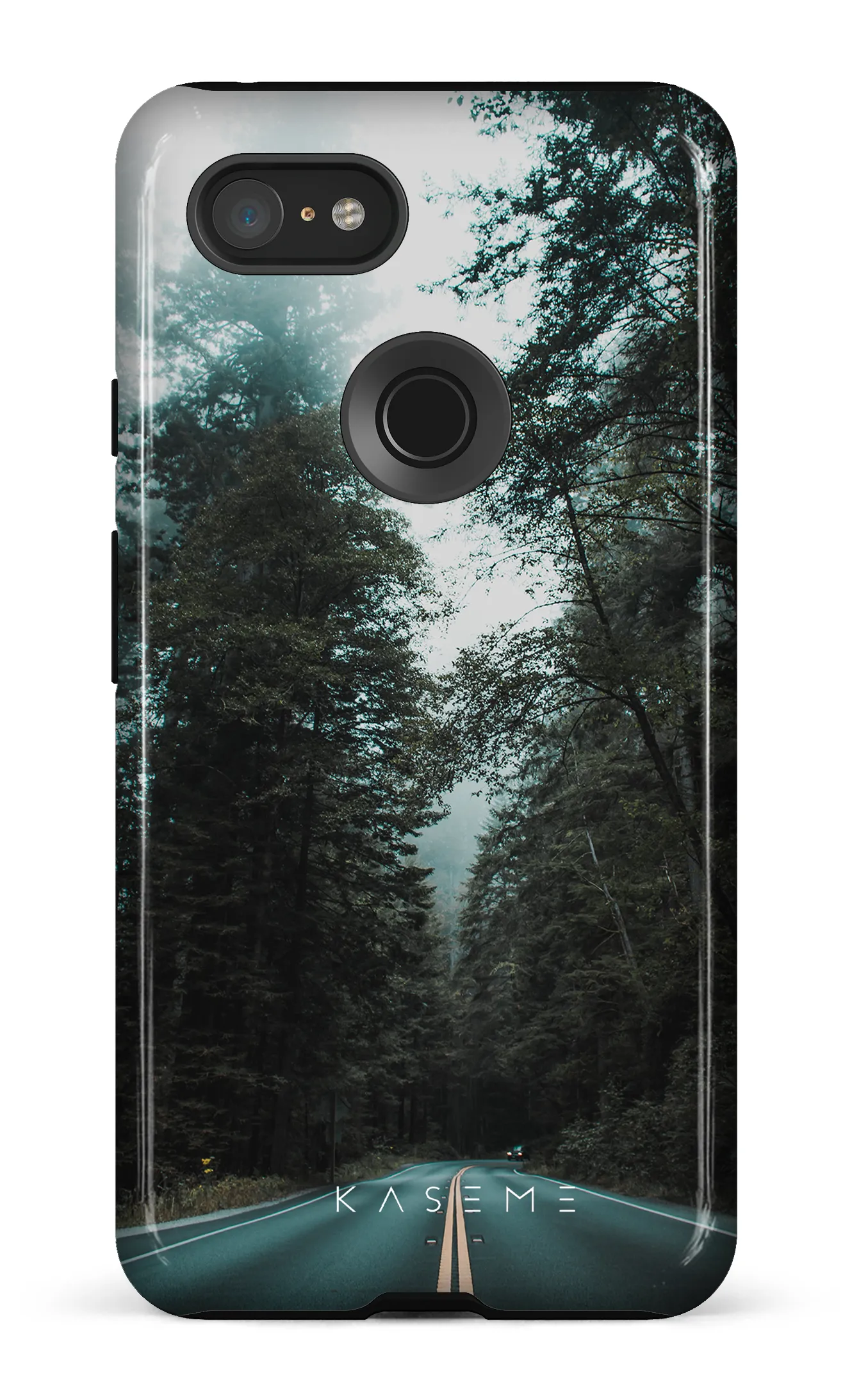 Sequoia