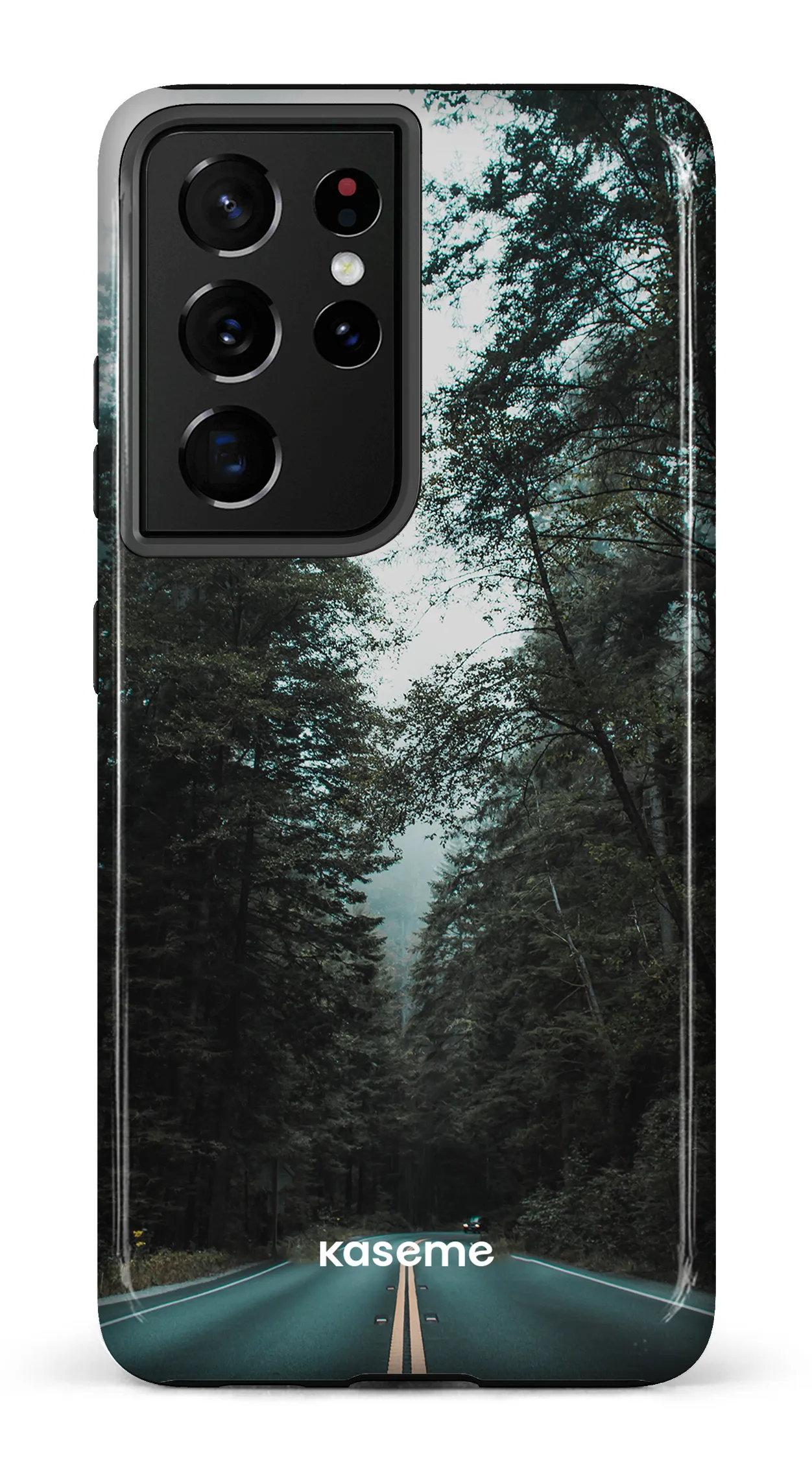 Sequoia