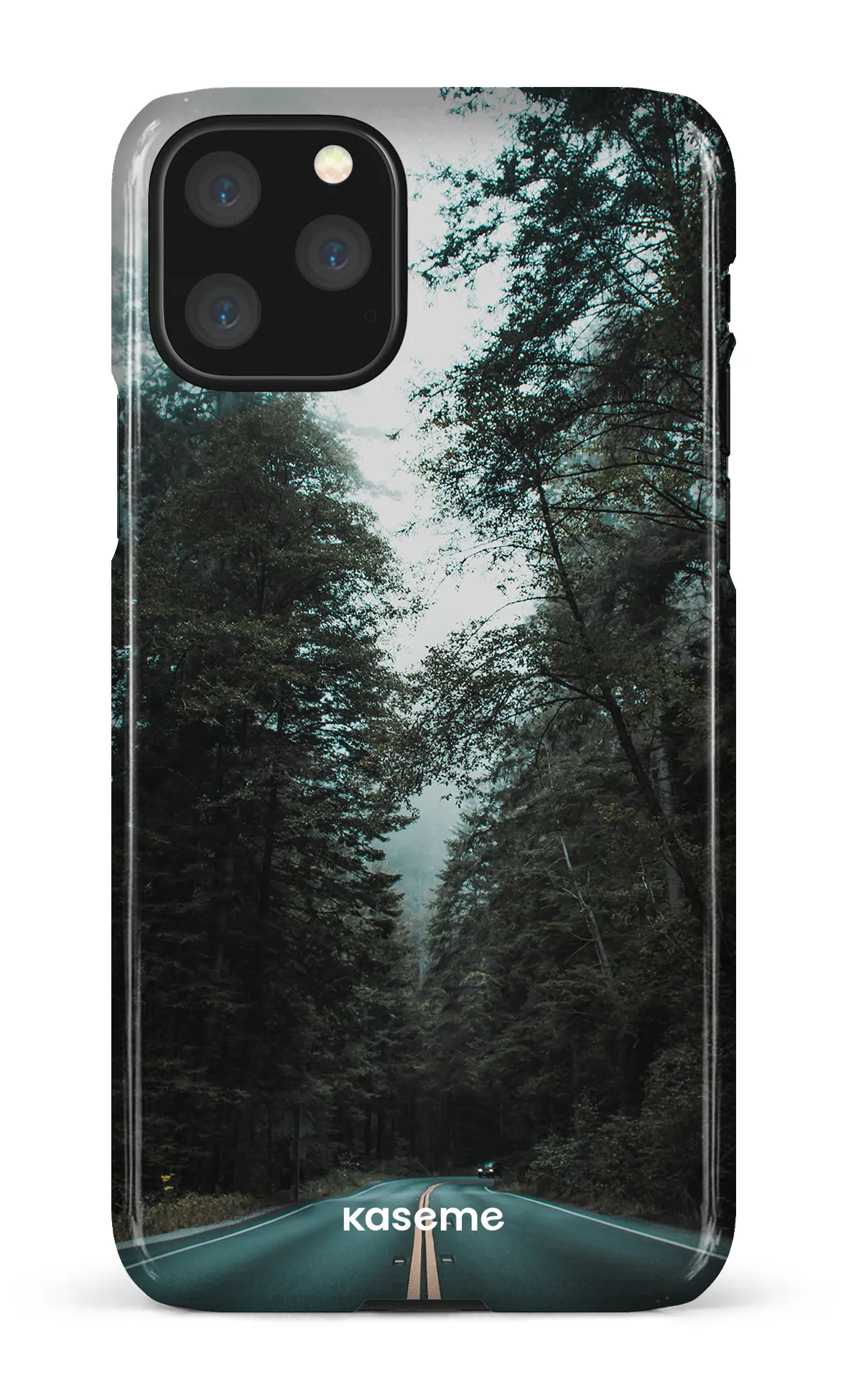 Sequoia