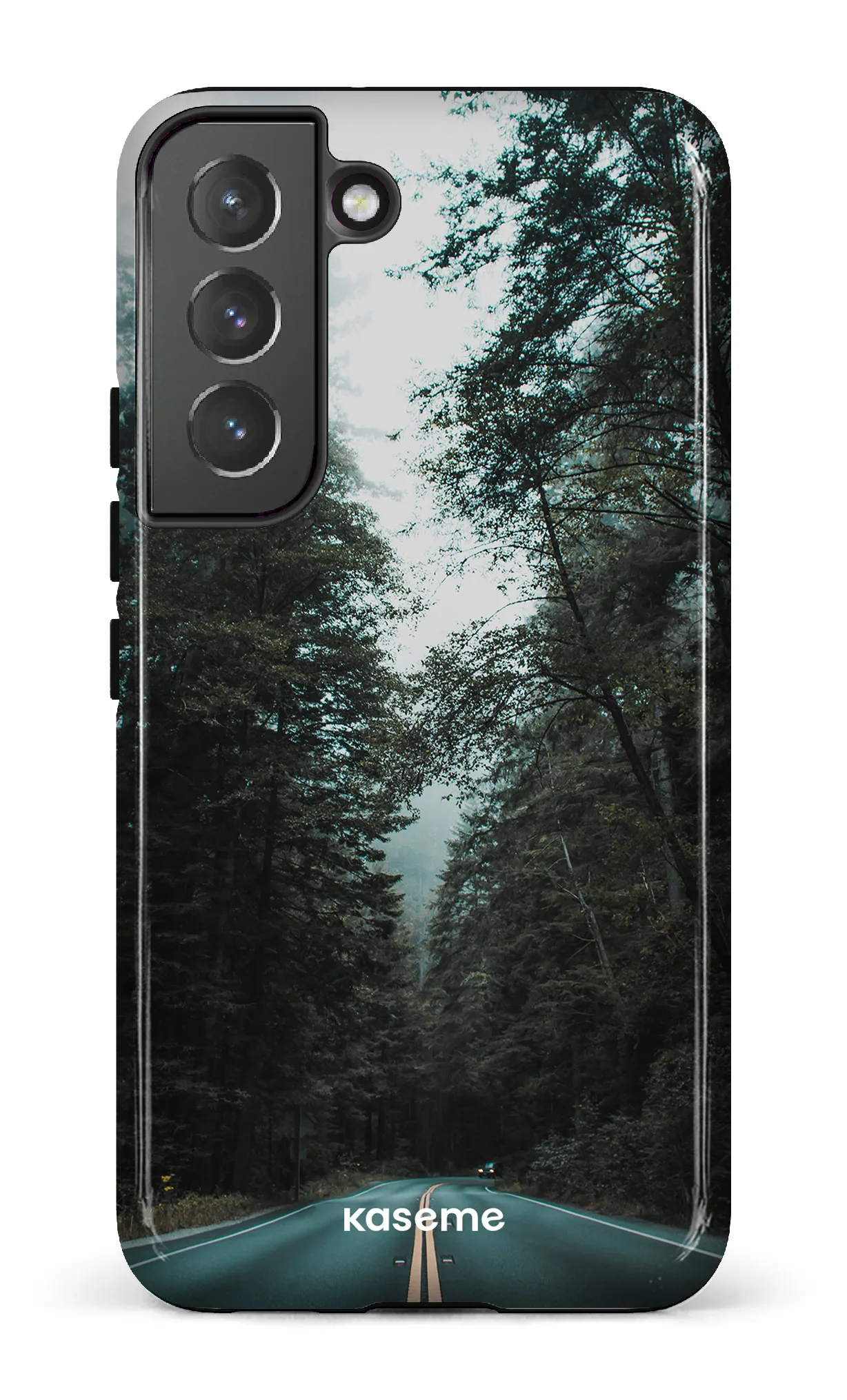 Sequoia