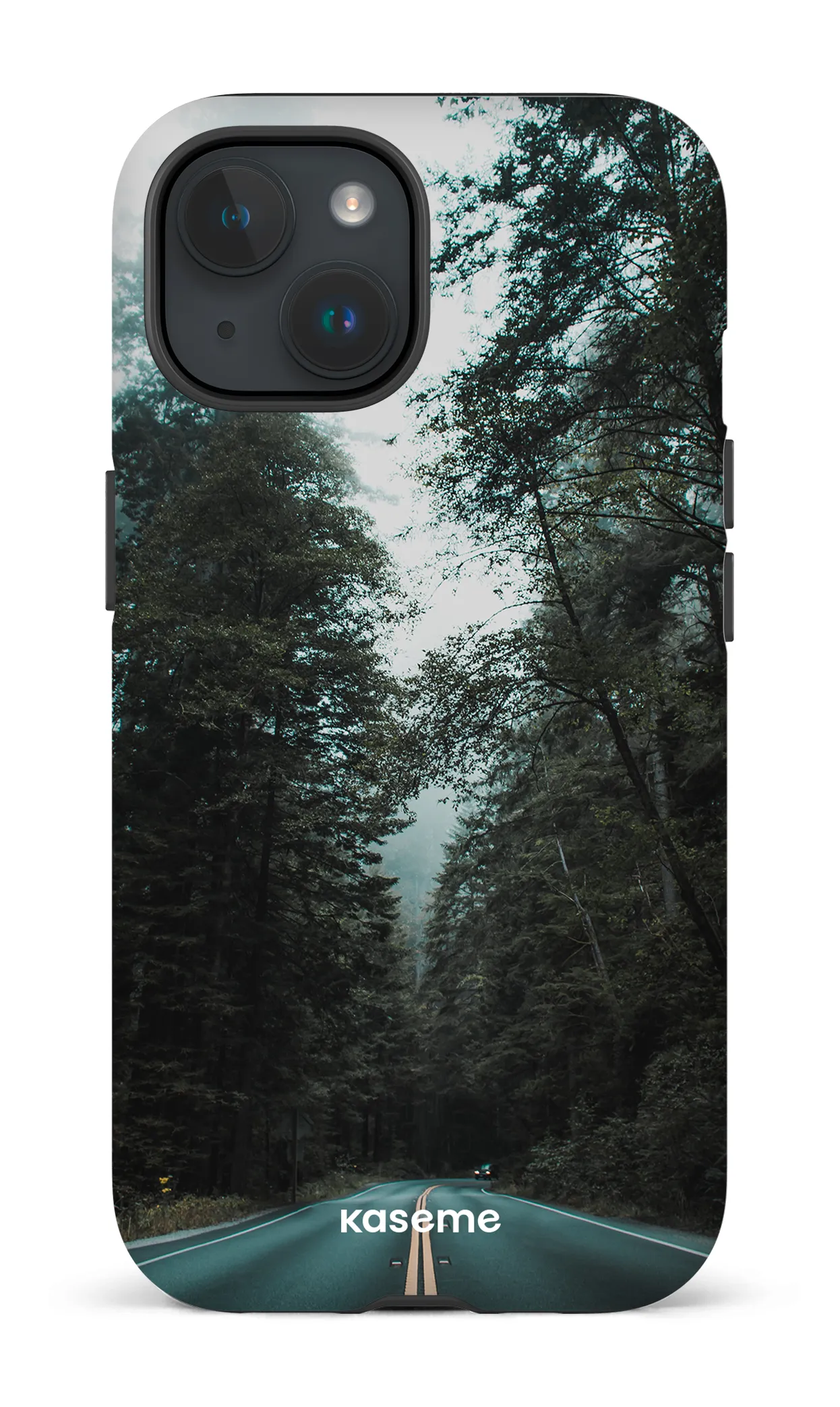 Sequoia