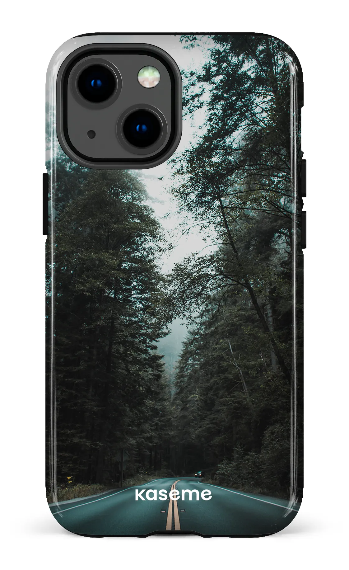Sequoia