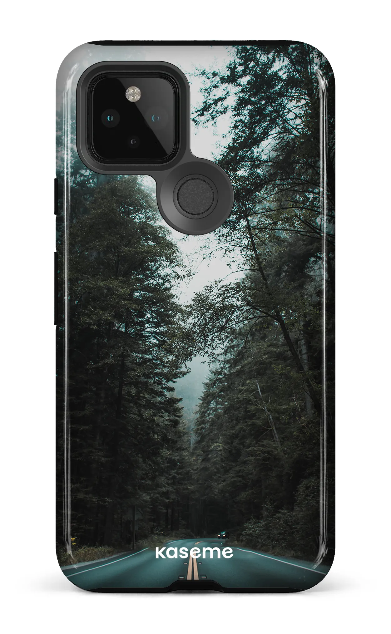 Sequoia