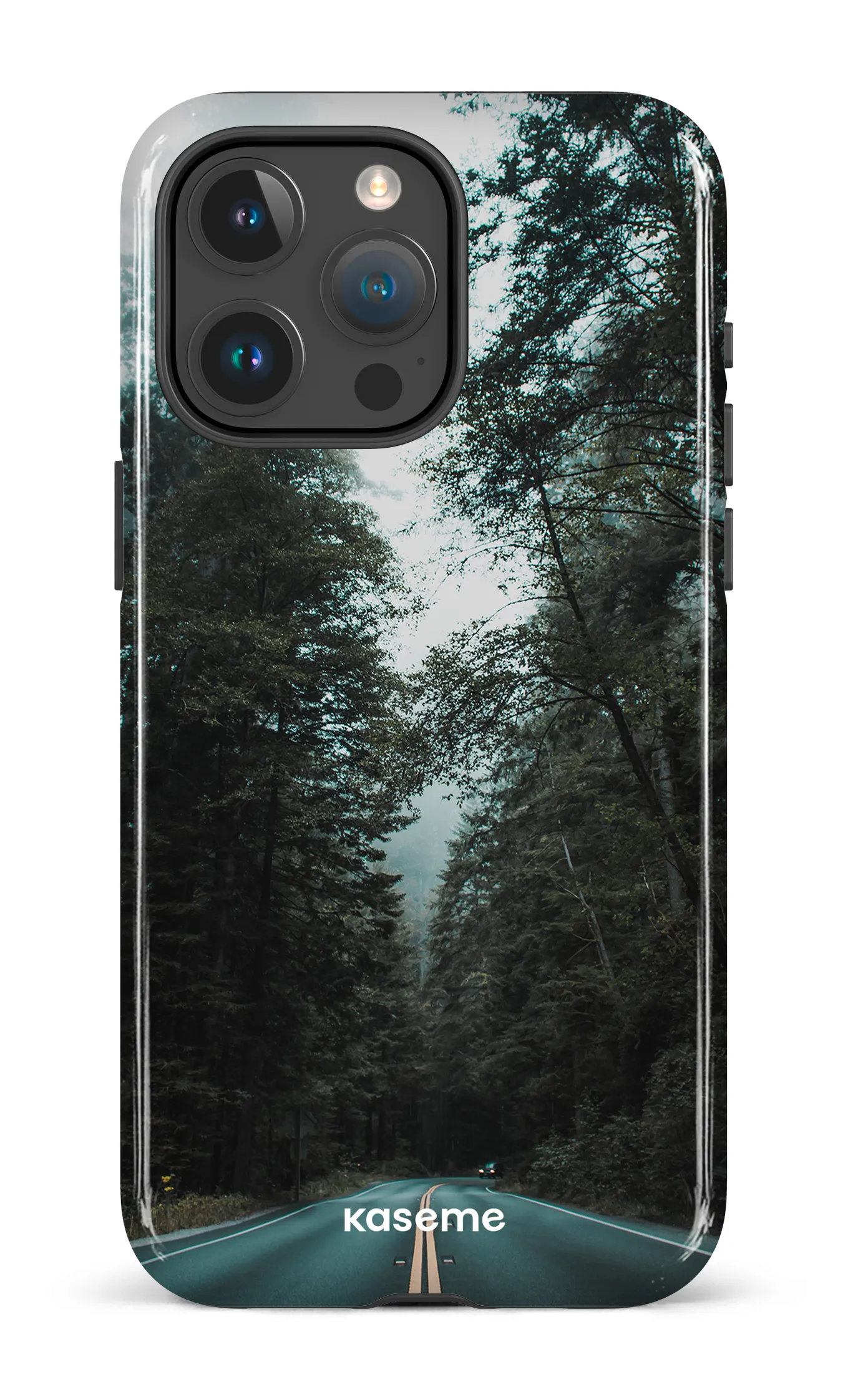 Sequoia