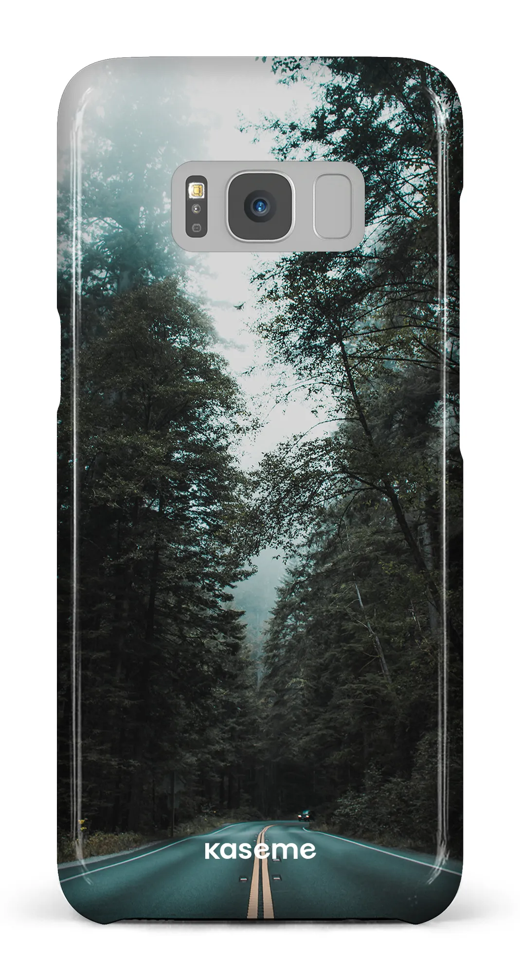 Sequoia