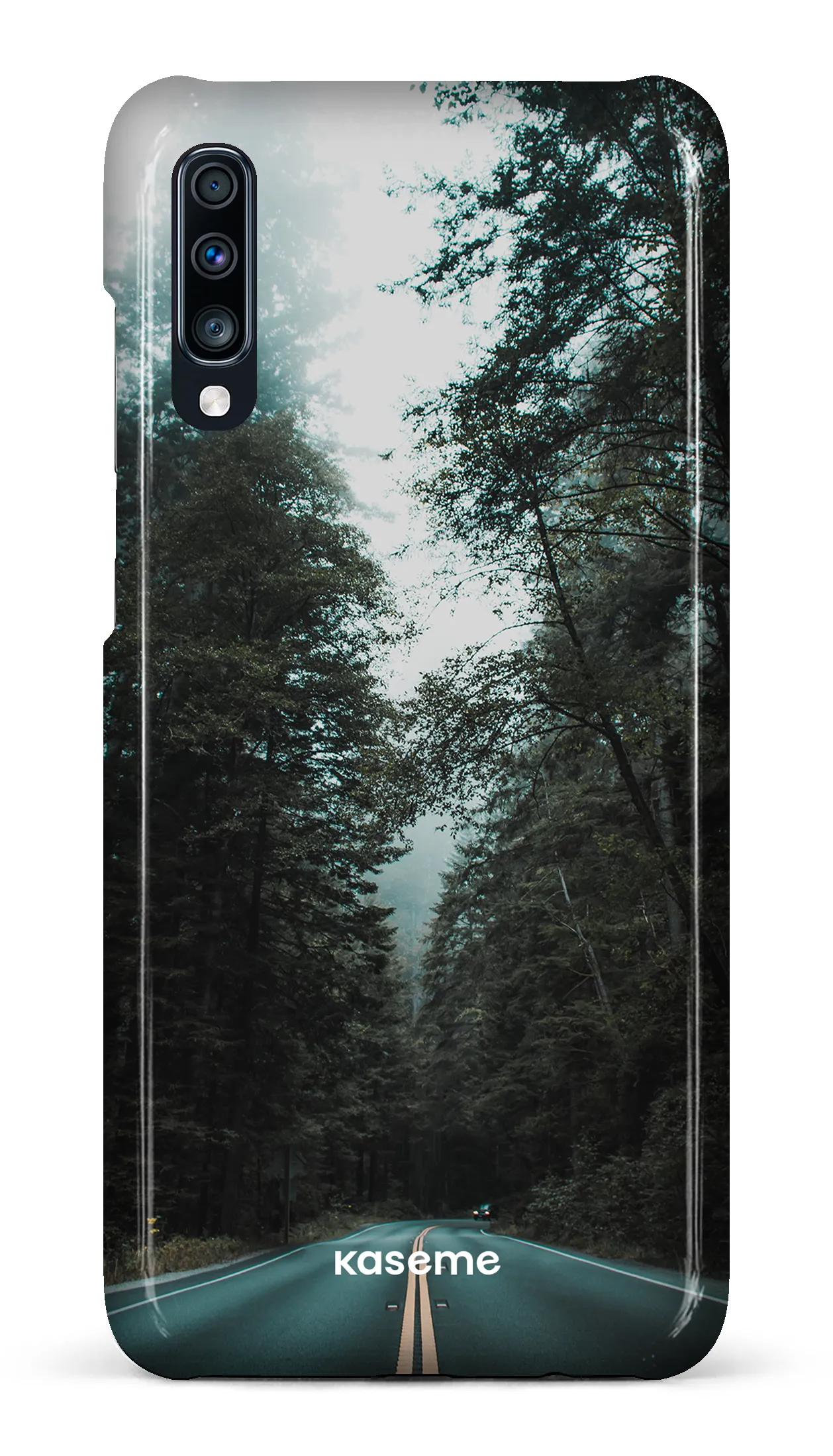 Sequoia