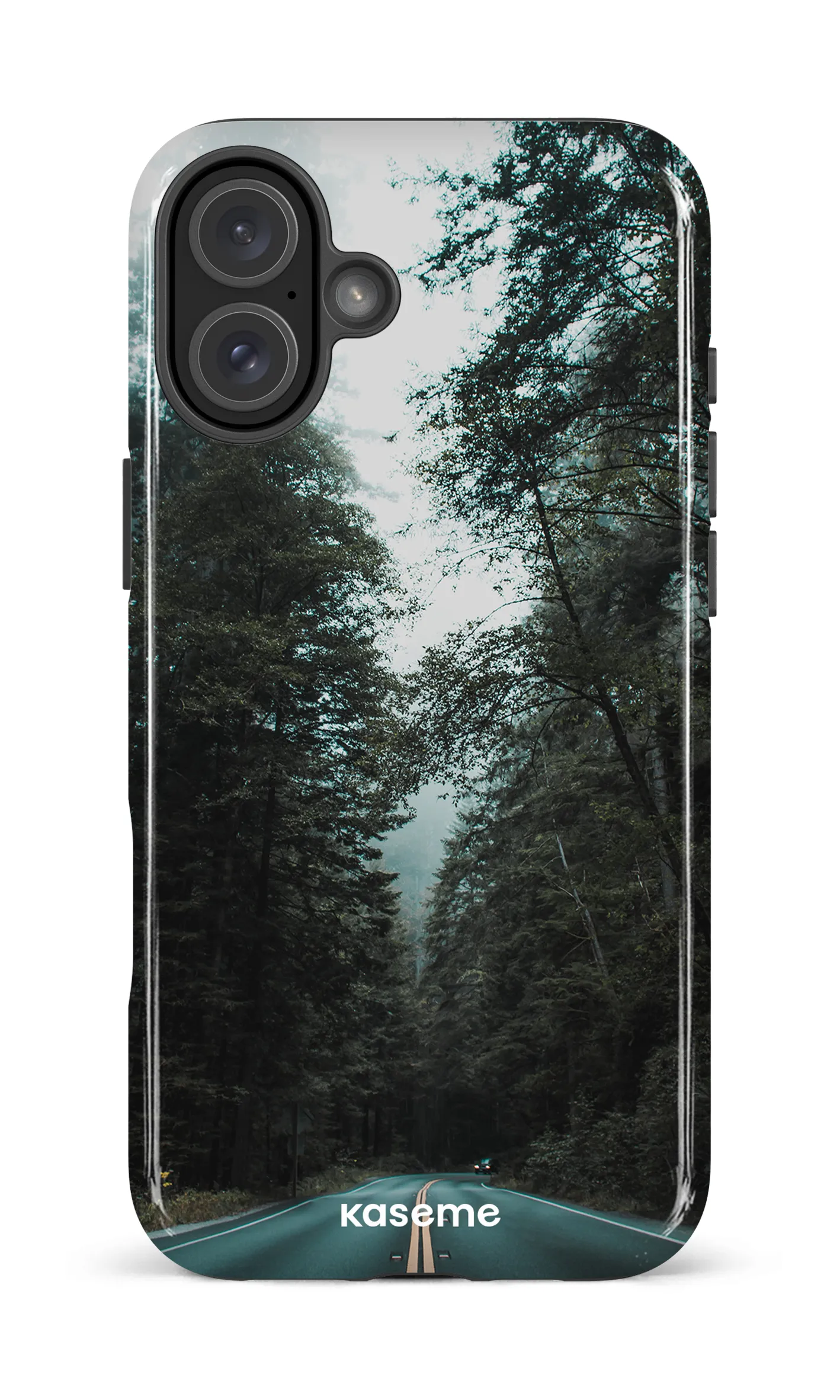 Sequoia