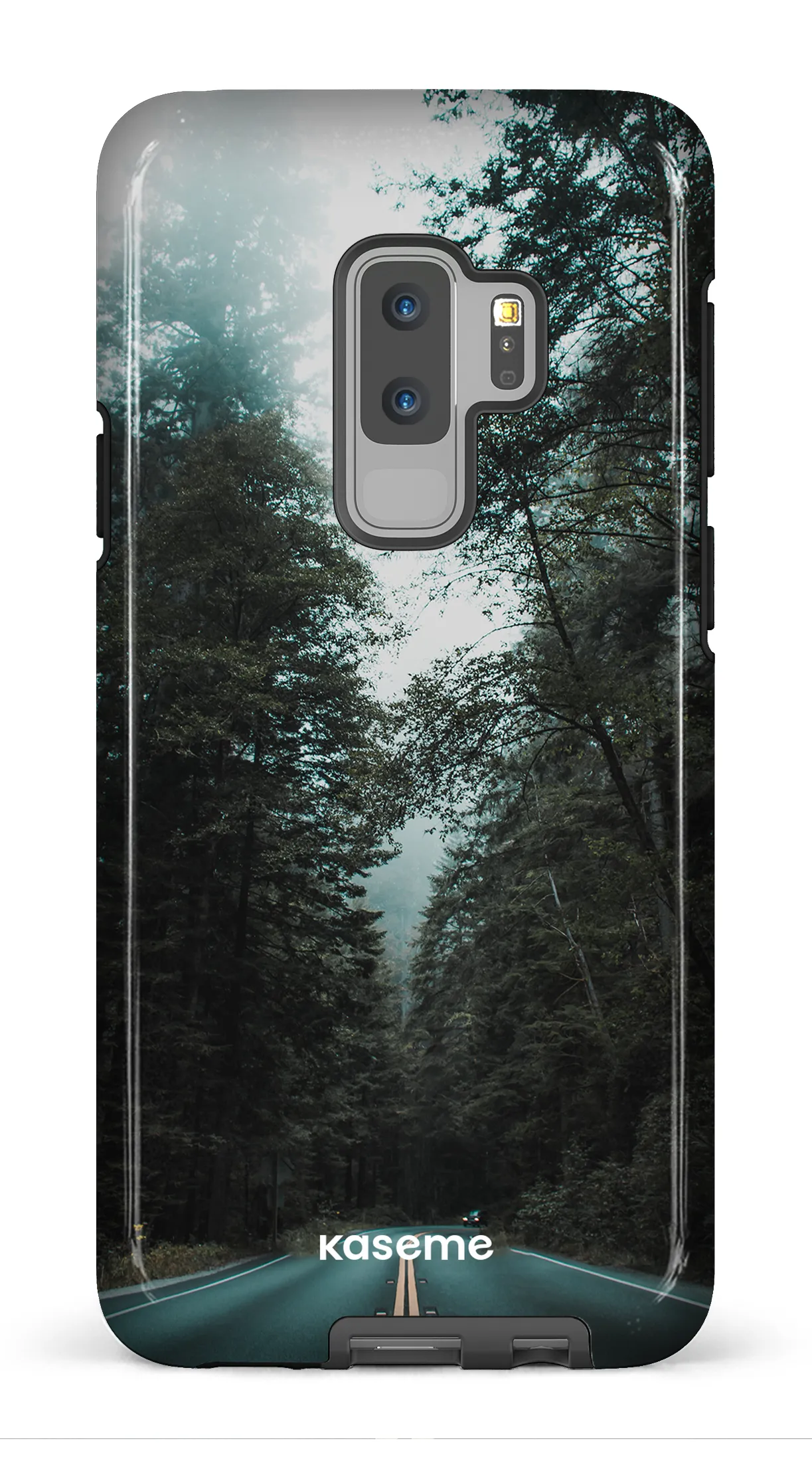 Sequoia