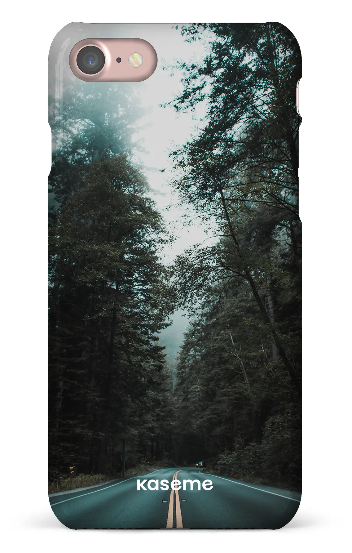 Sequoia