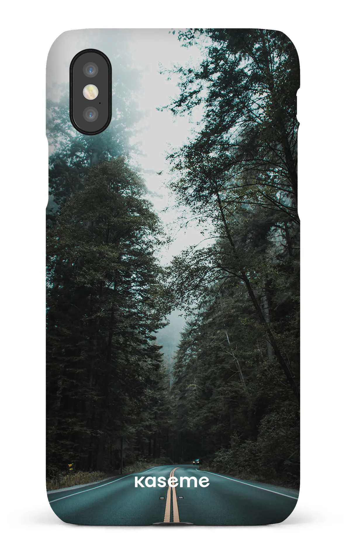 Sequoia