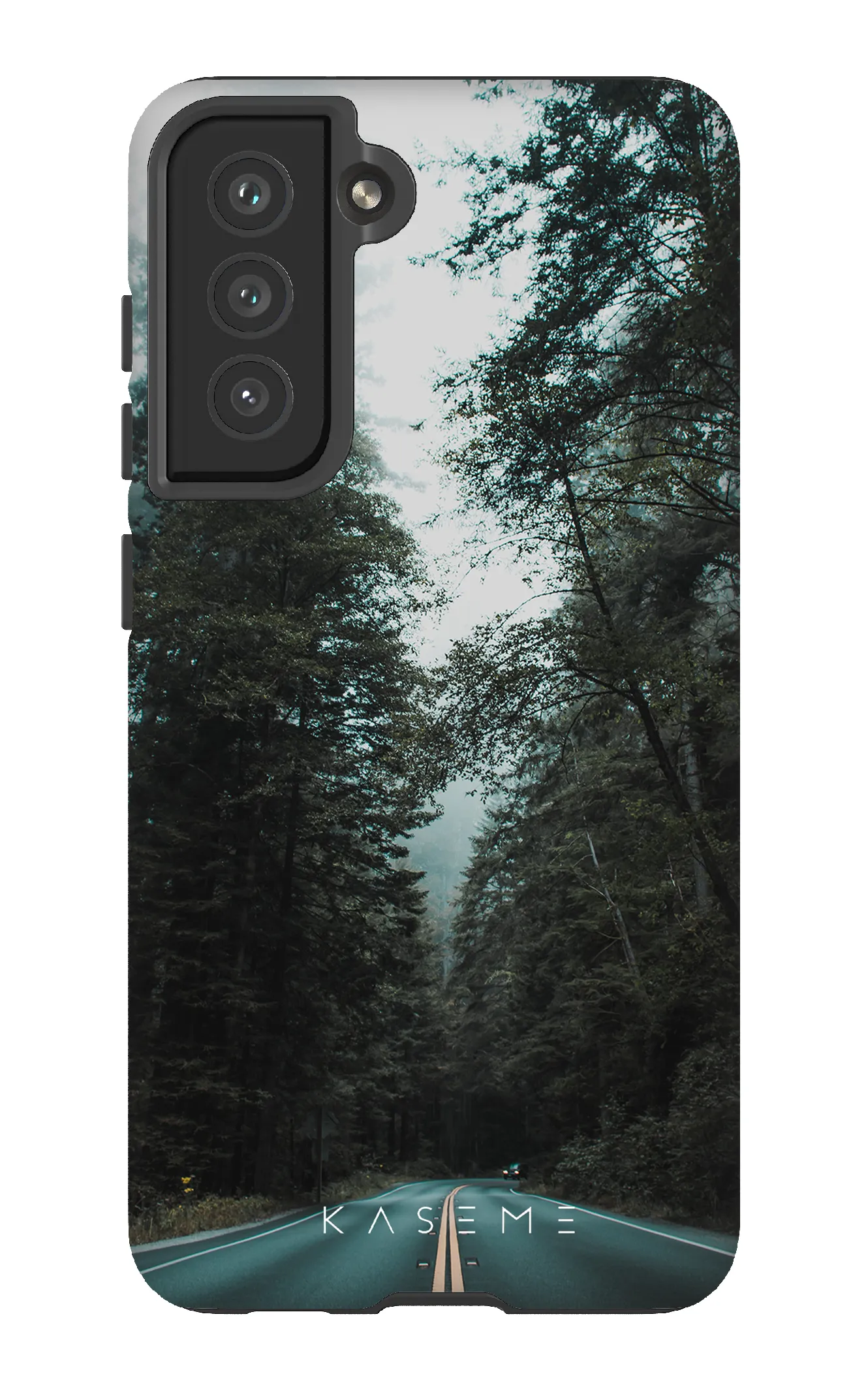 Sequoia