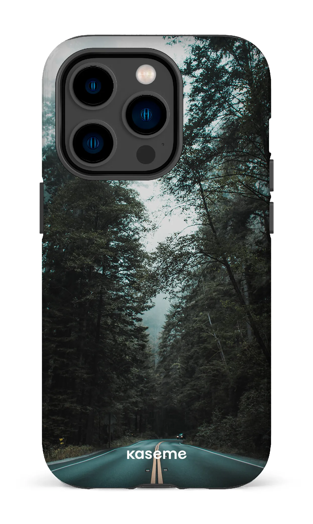 Sequoia