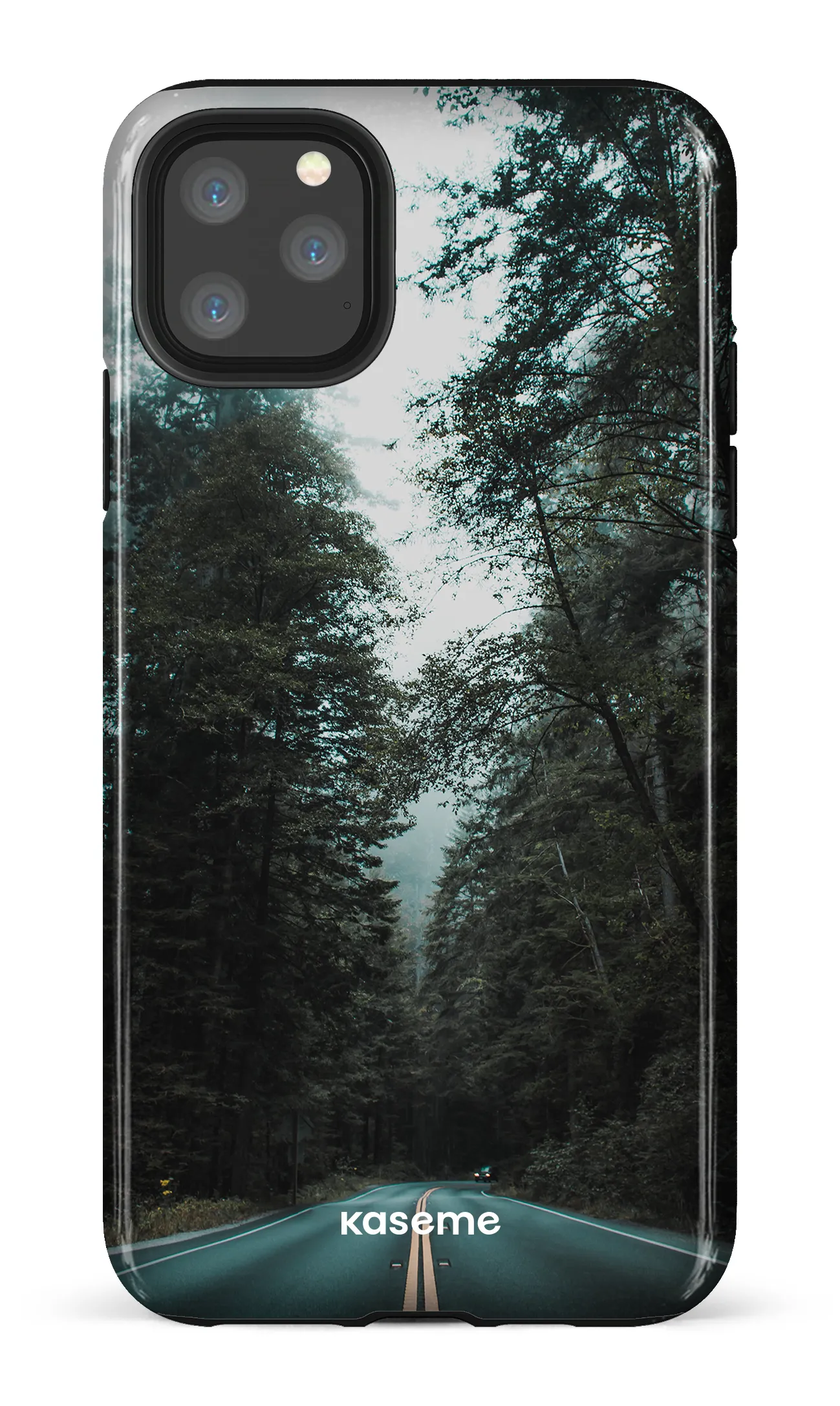 Sequoia