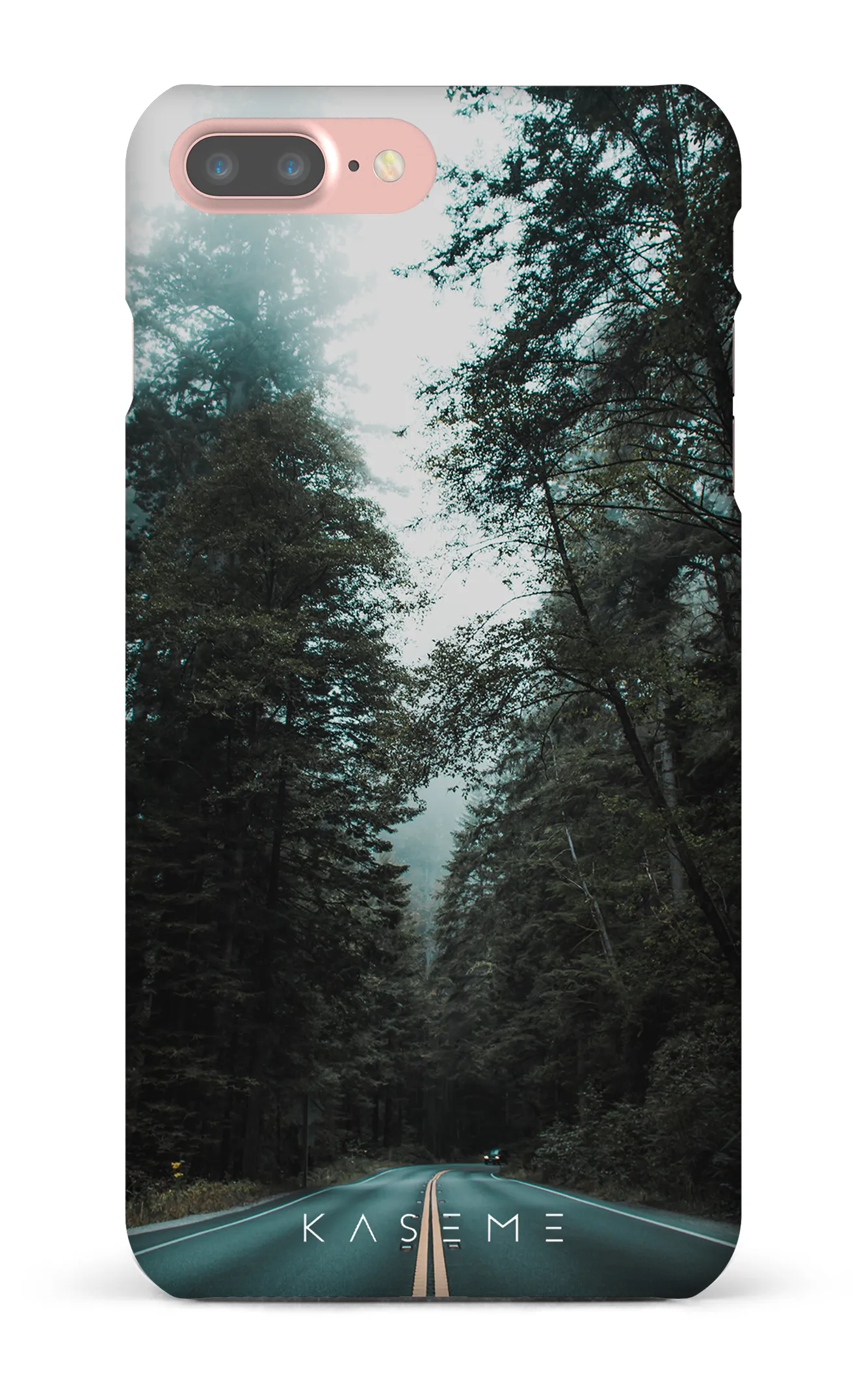 Sequoia