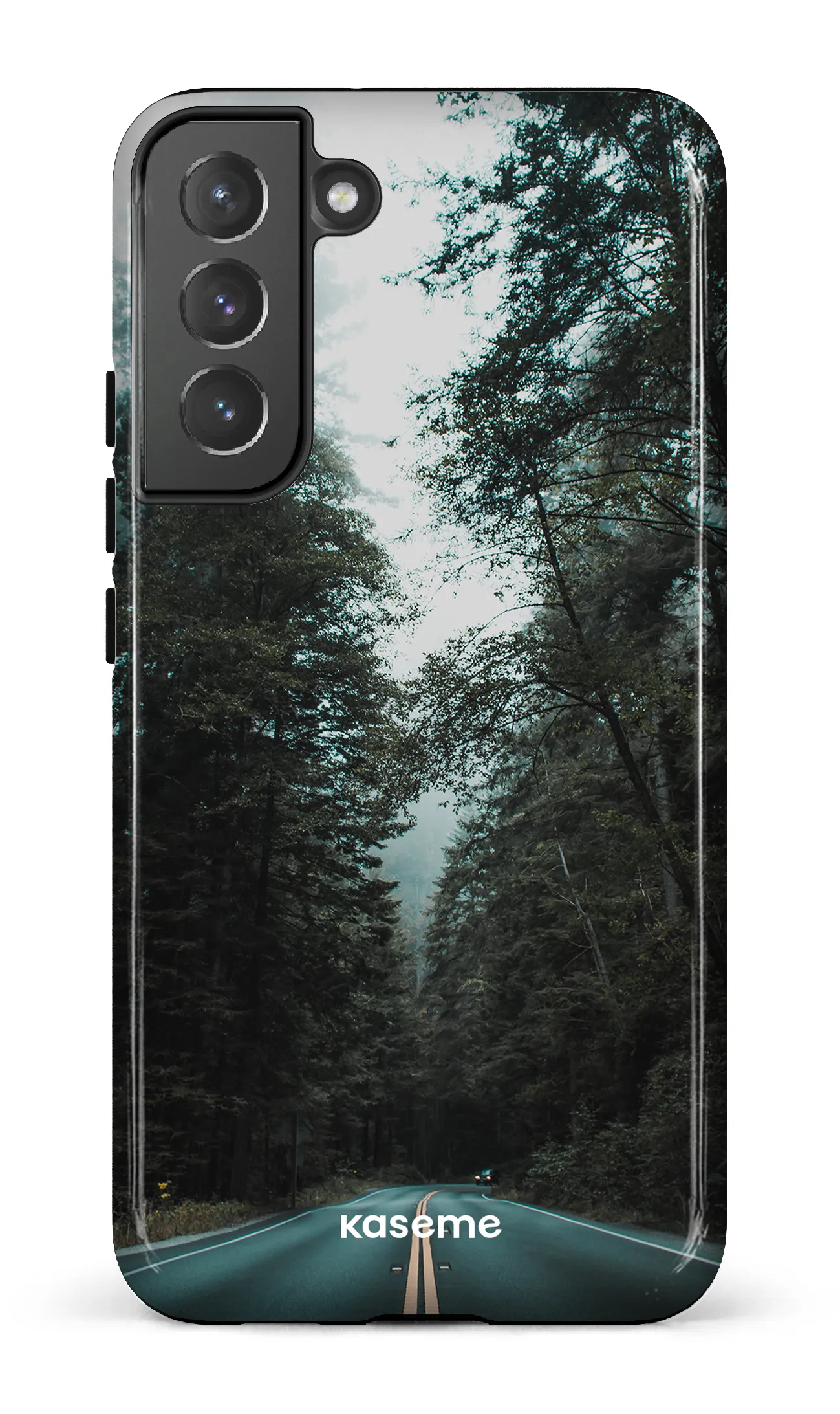 Sequoia