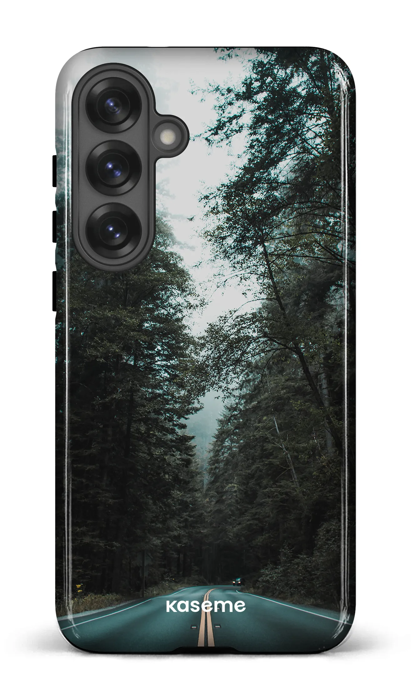 Sequoia