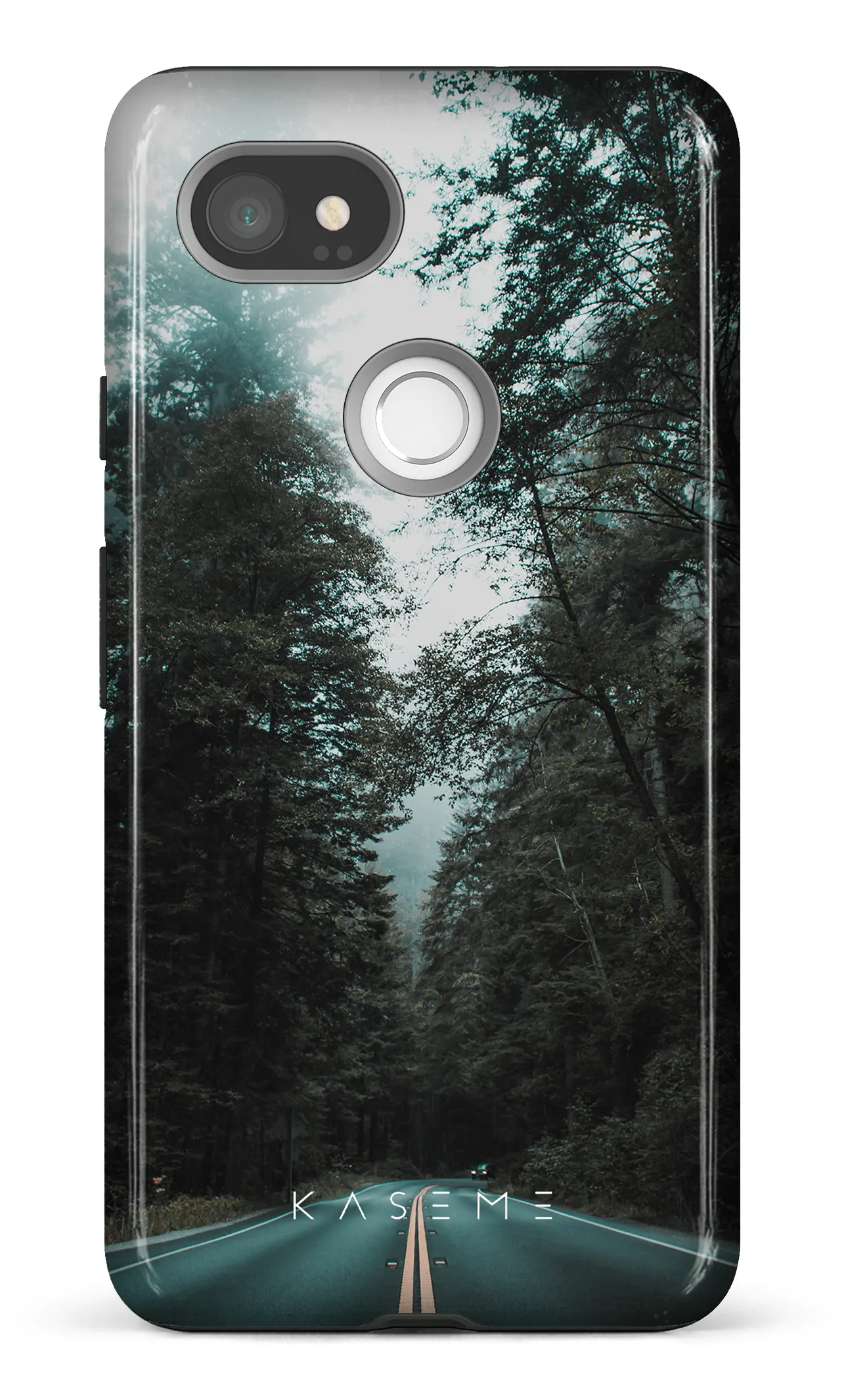 Sequoia