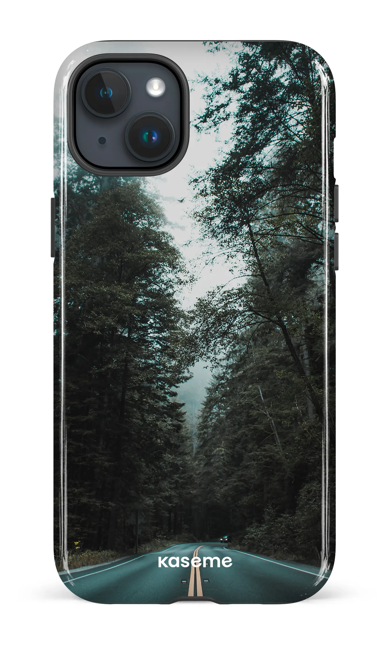 Sequoia