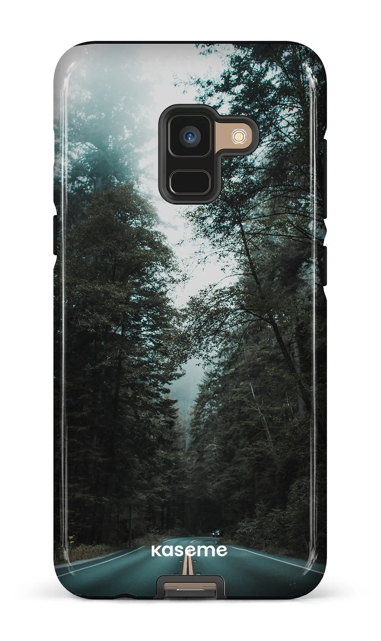 Sequoia