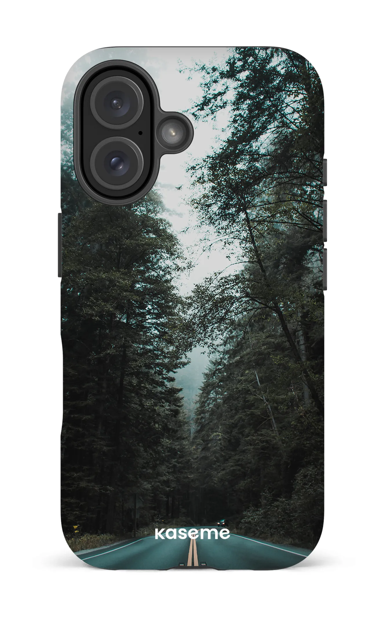 Sequoia