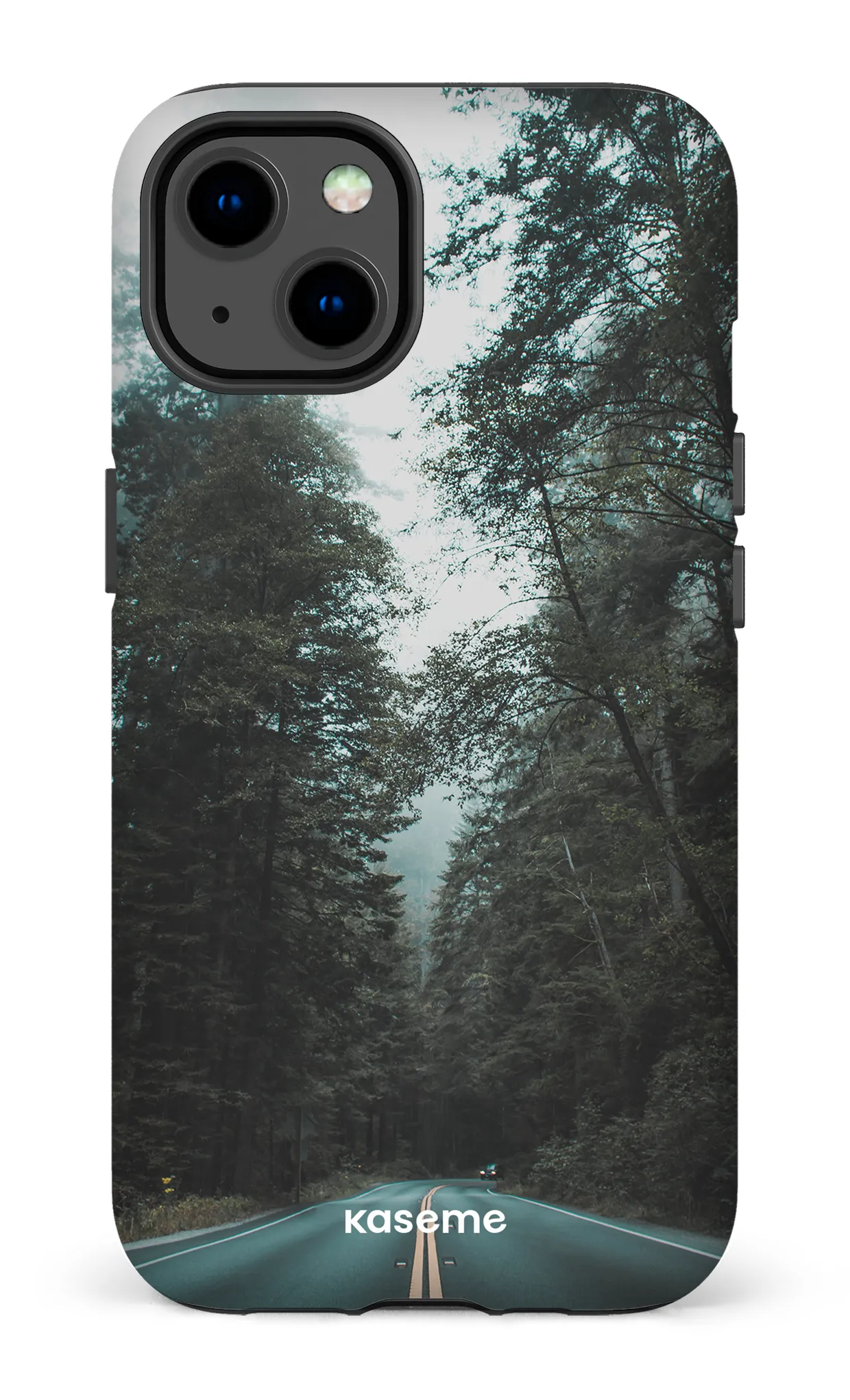 Sequoia