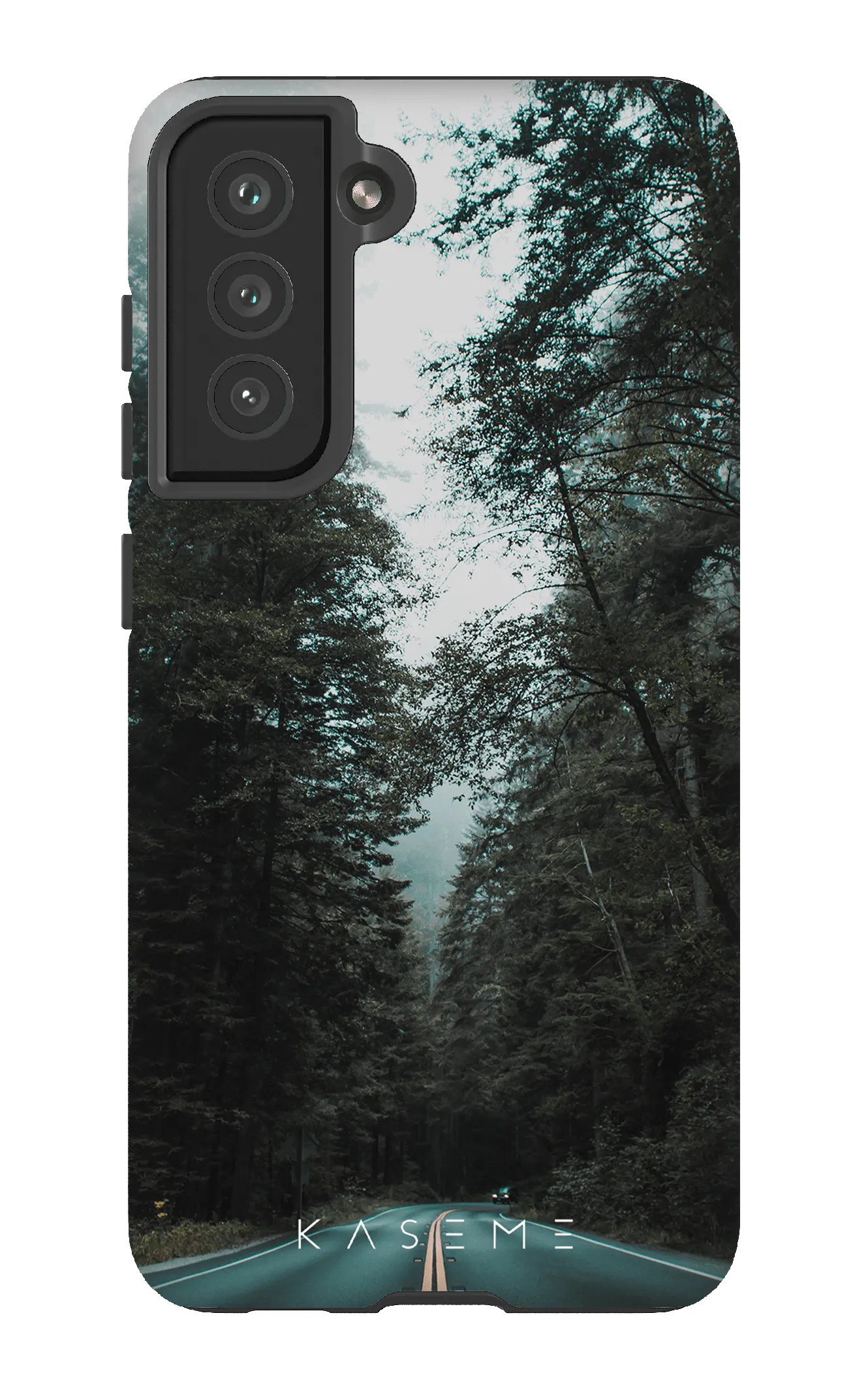Sequoia