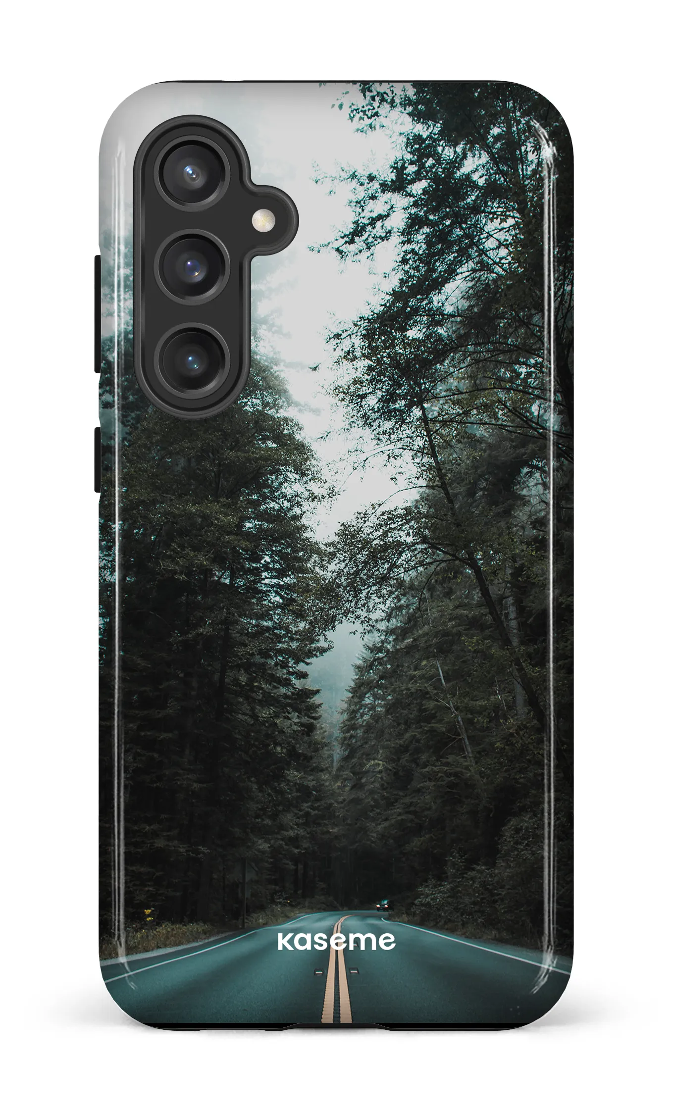 Sequoia