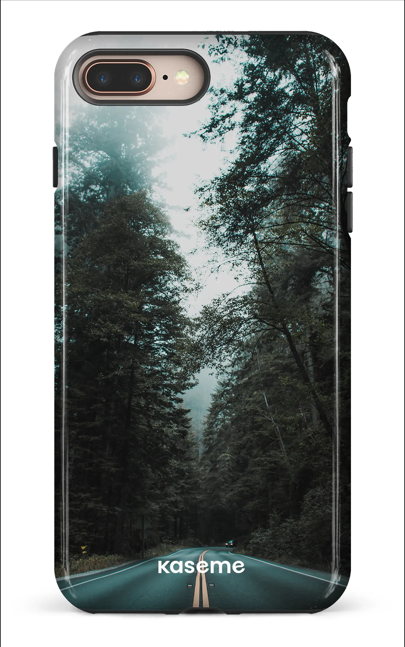 Sequoia