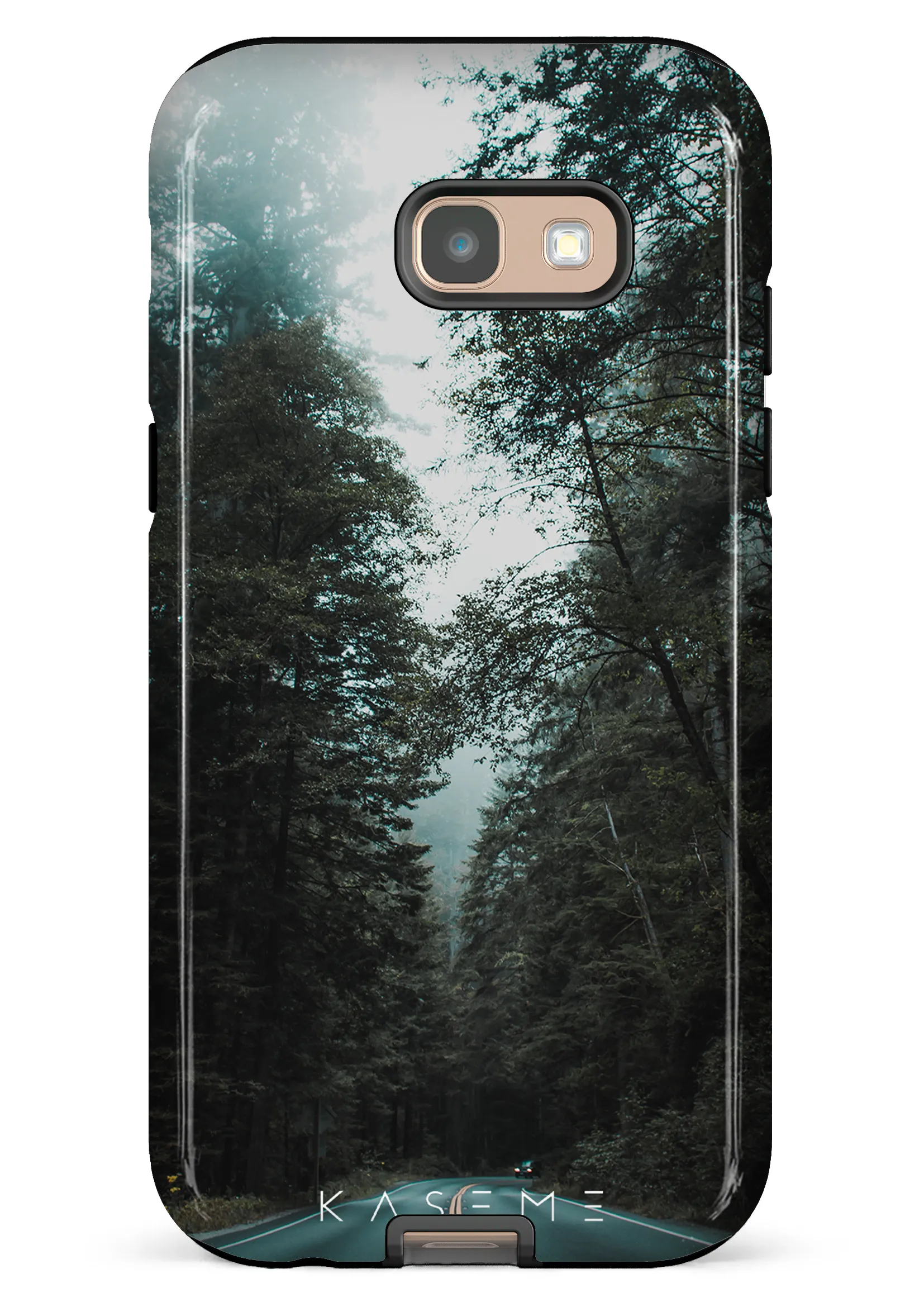Sequoia
