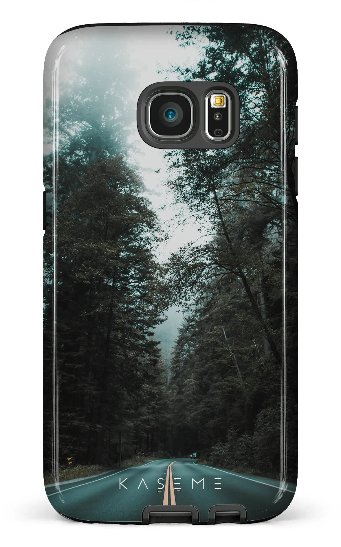 Sequoia