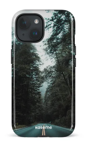 Sequoia