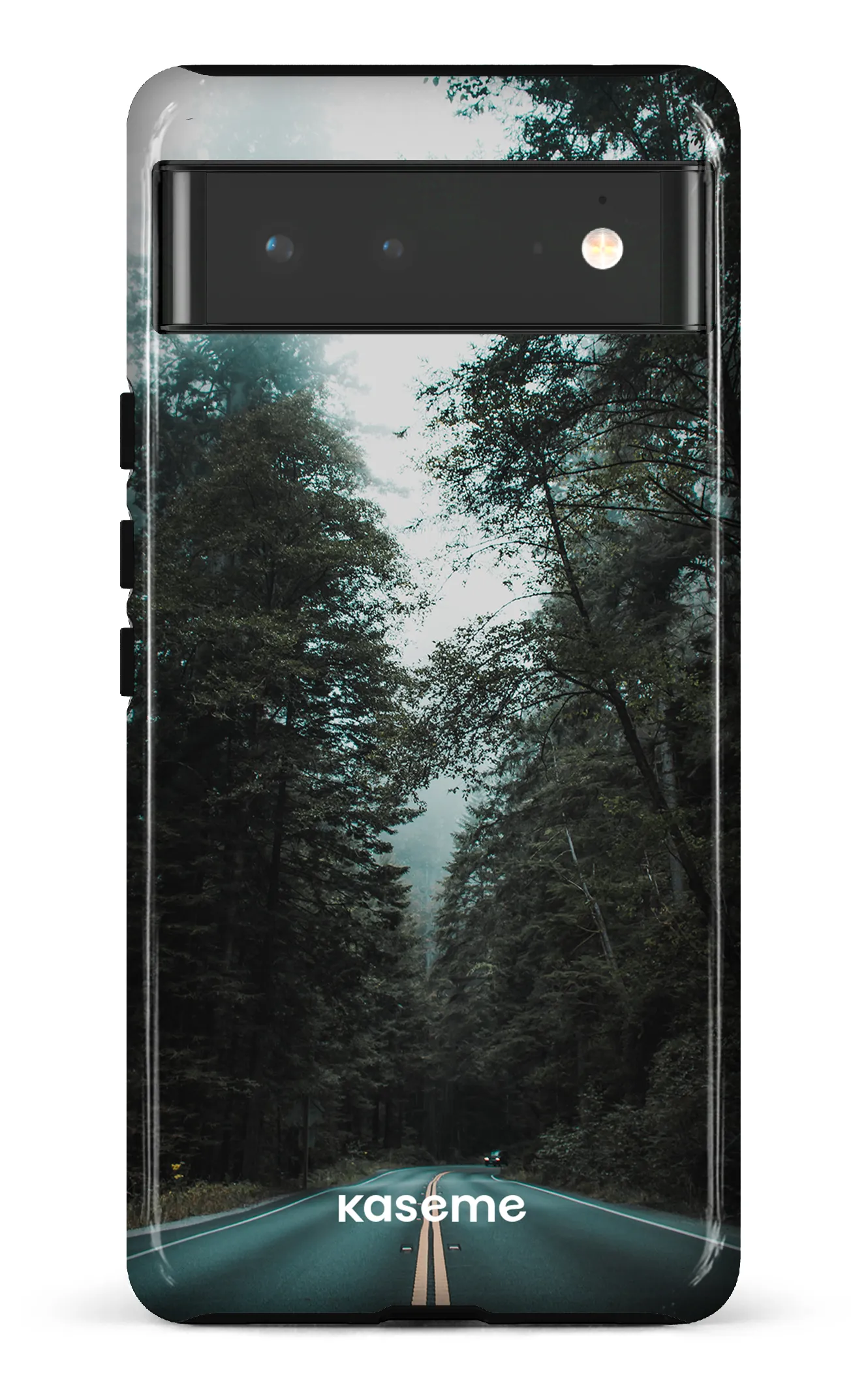 Sequoia