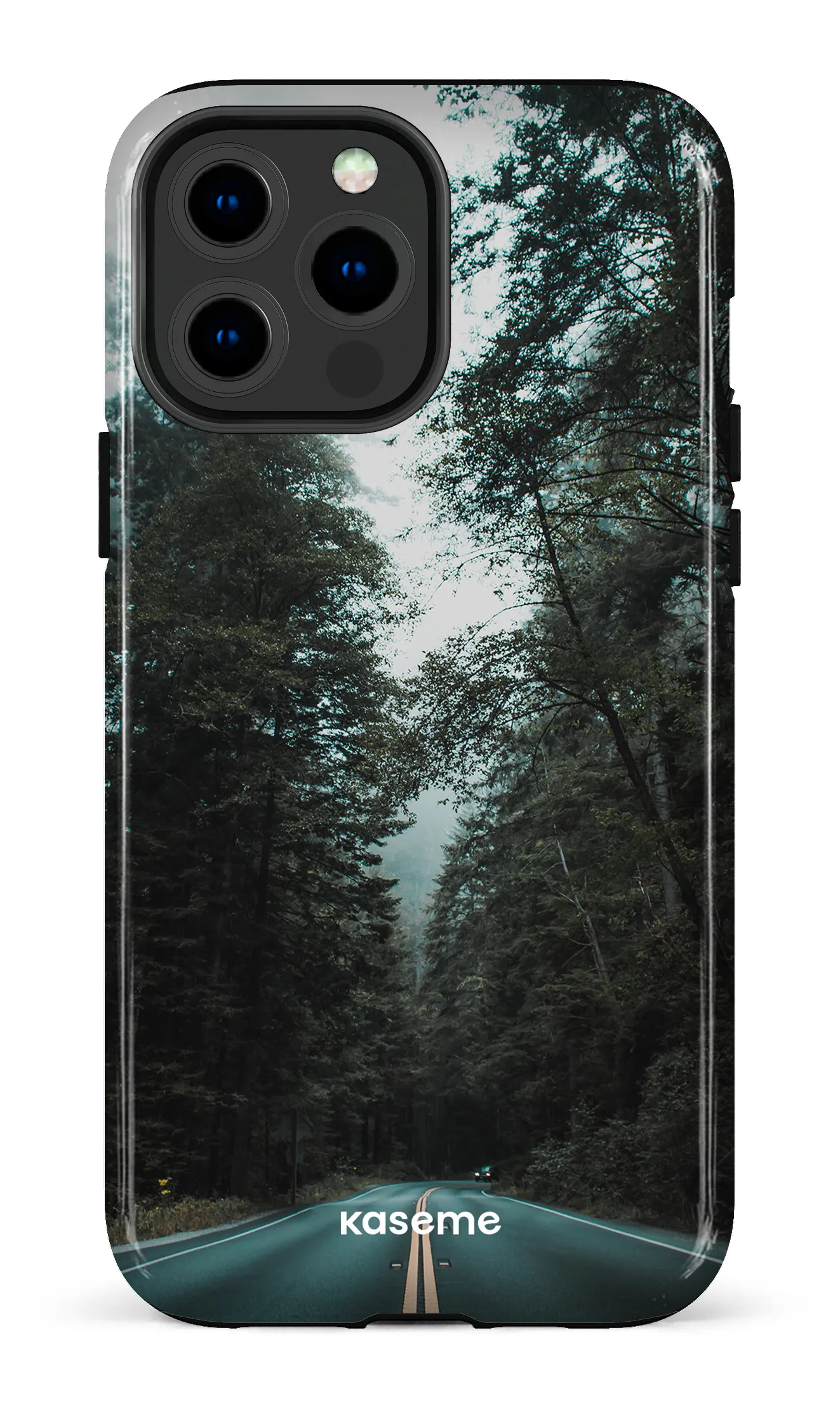 Sequoia