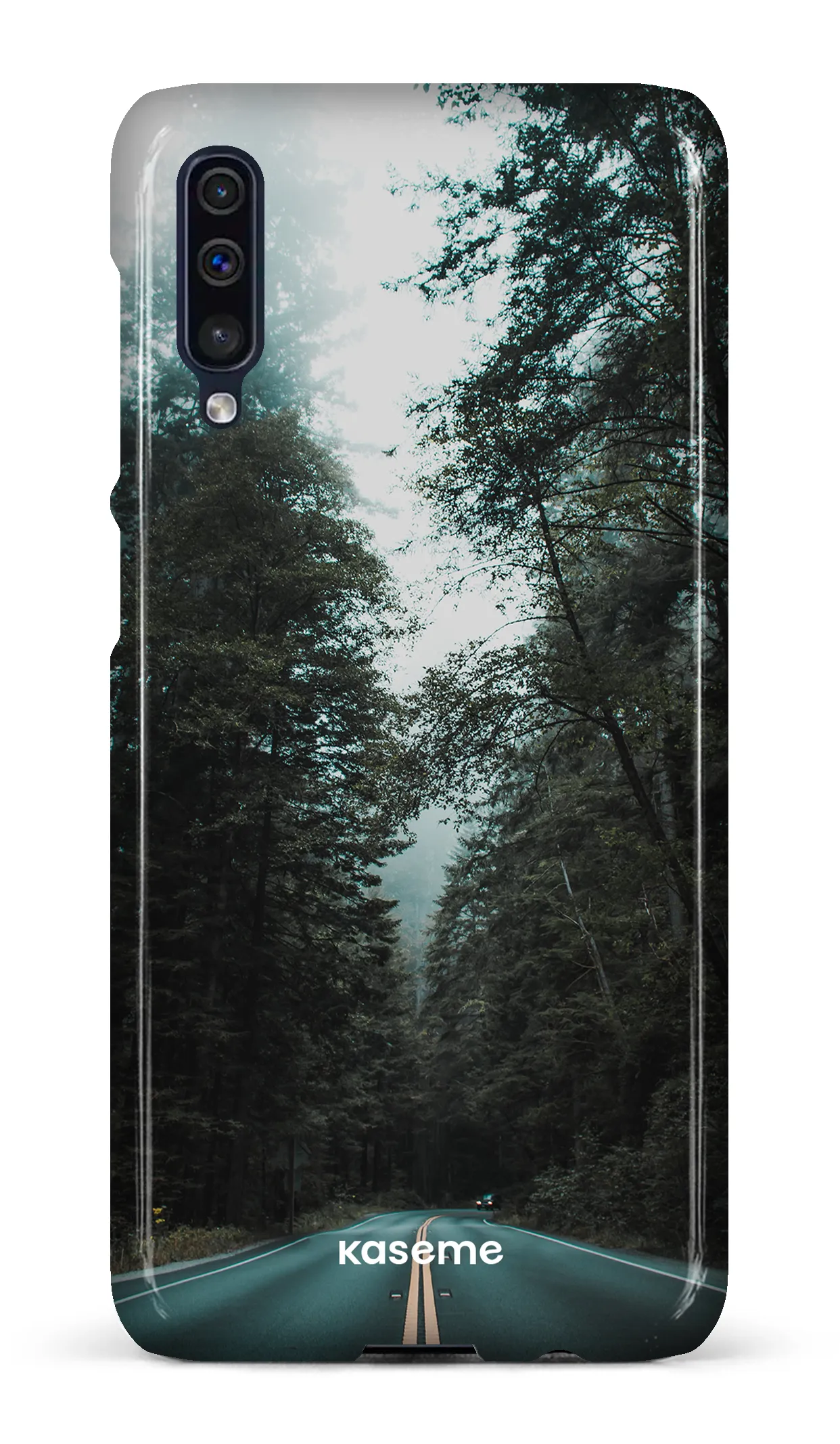 Sequoia