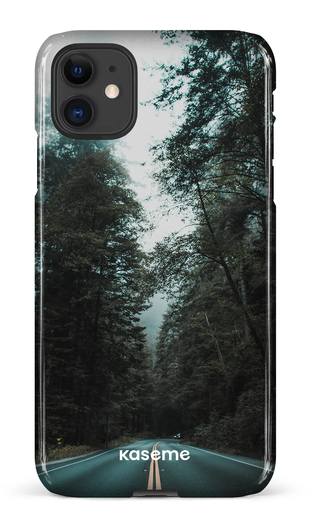 Sequoia