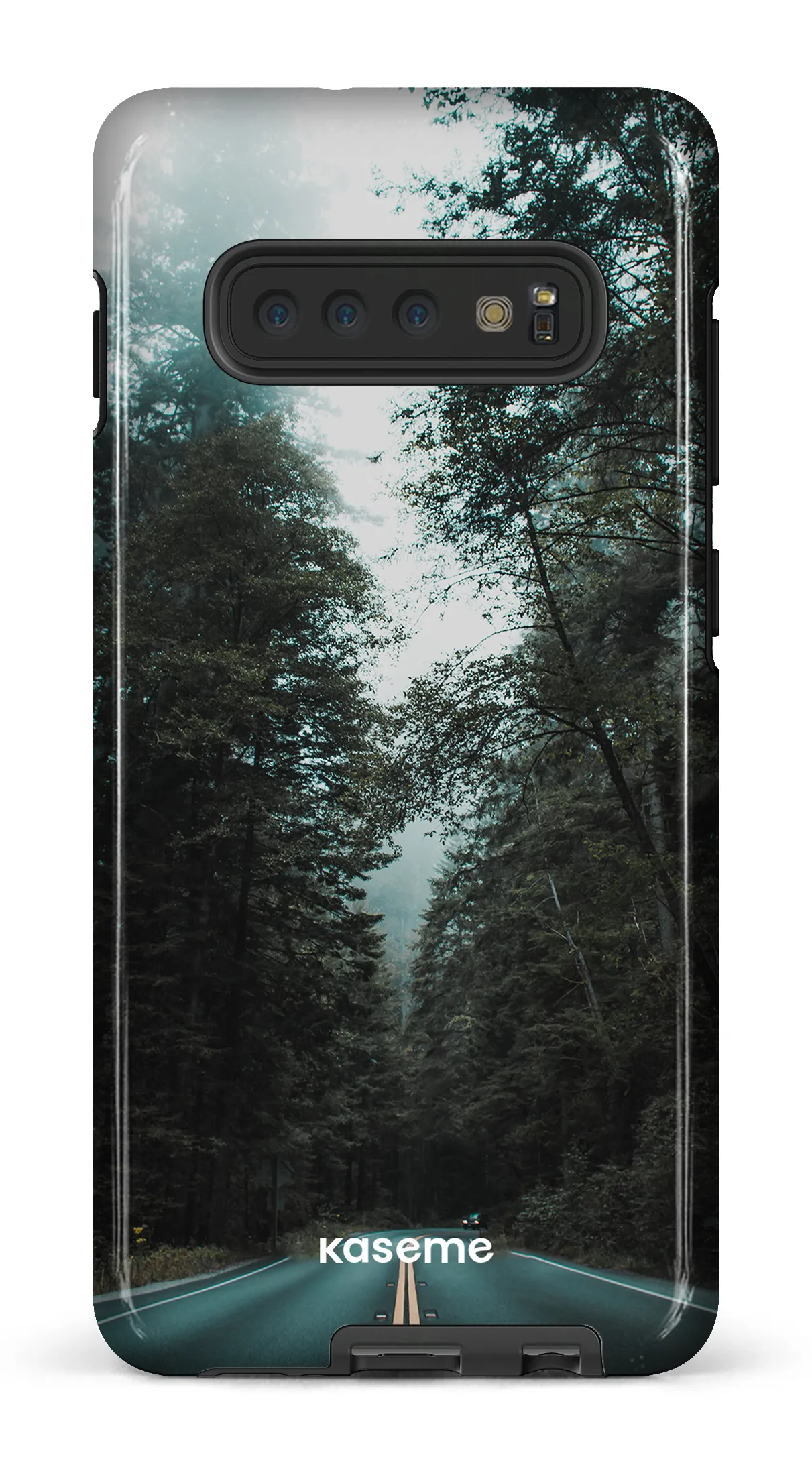 Sequoia
