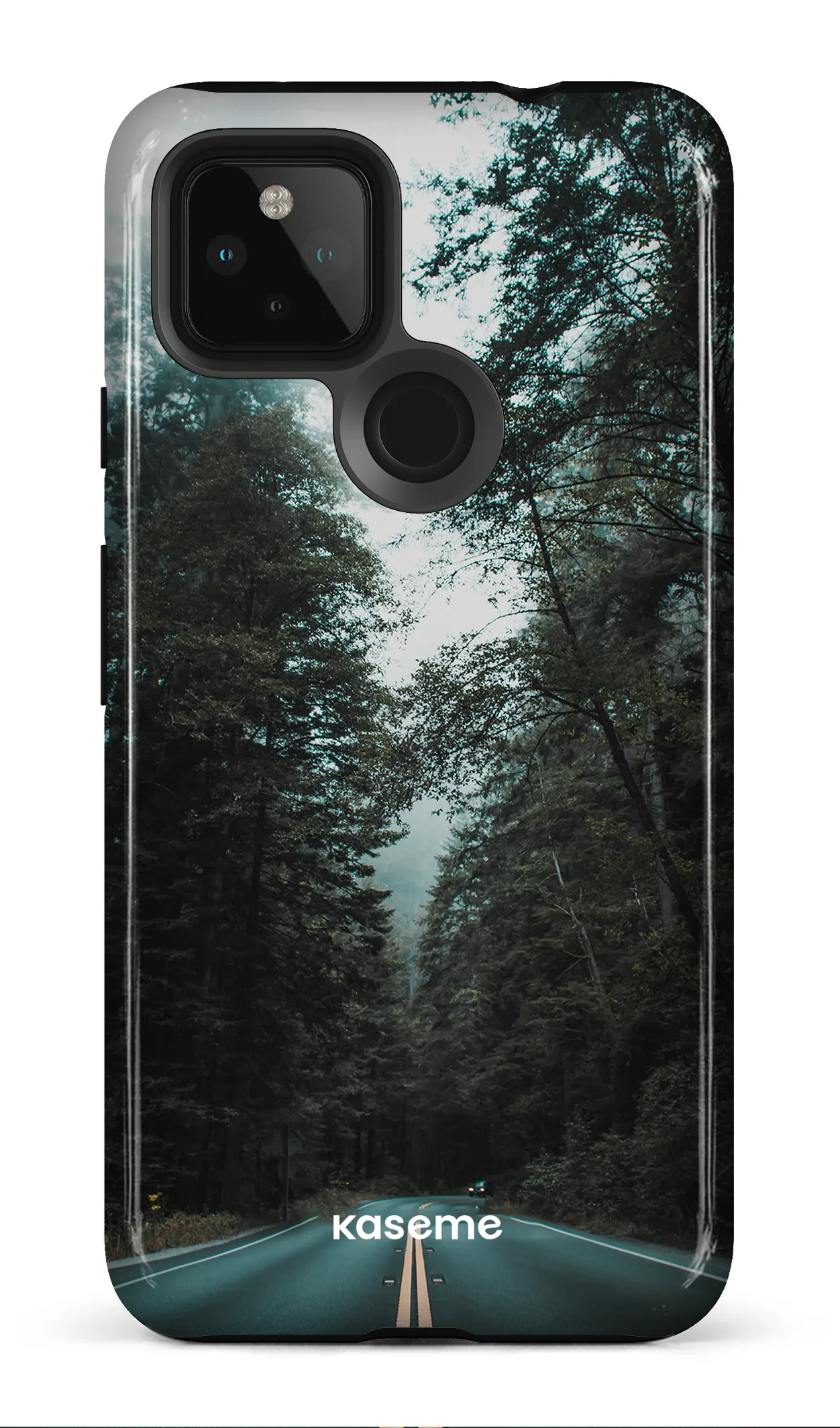 Sequoia