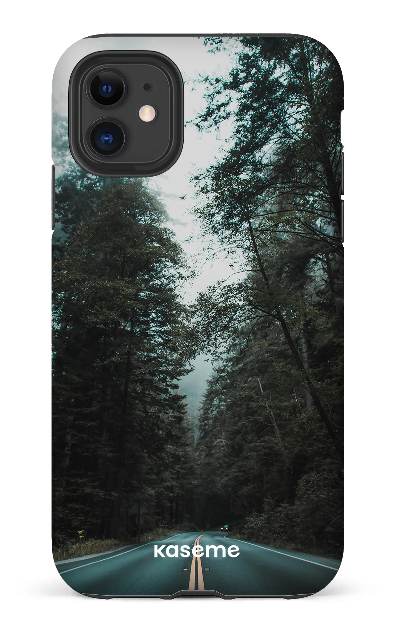 Sequoia