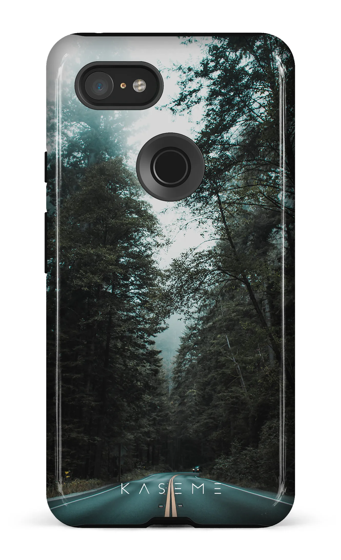 Sequoia