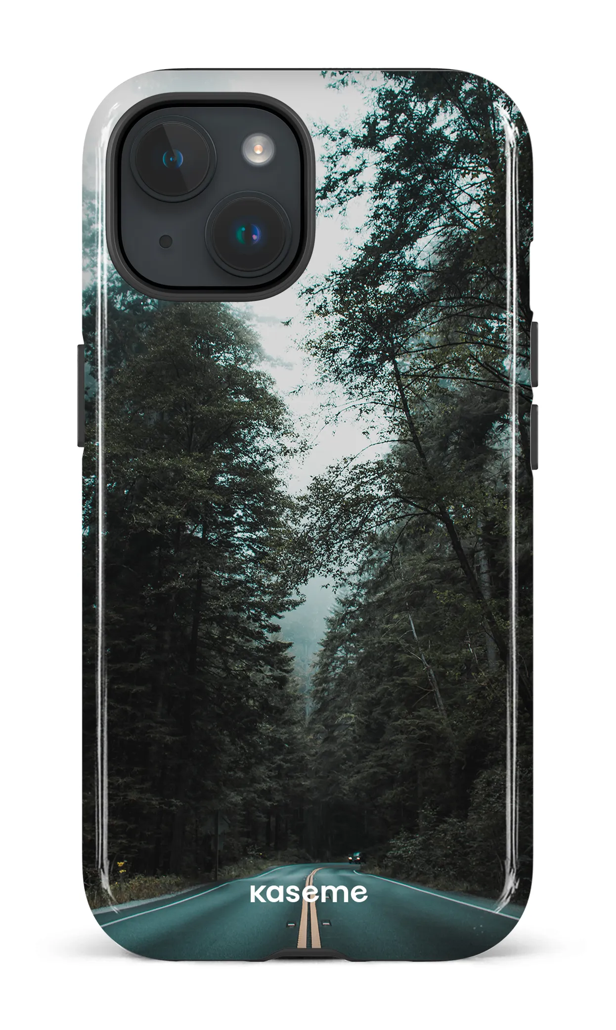 Sequoia