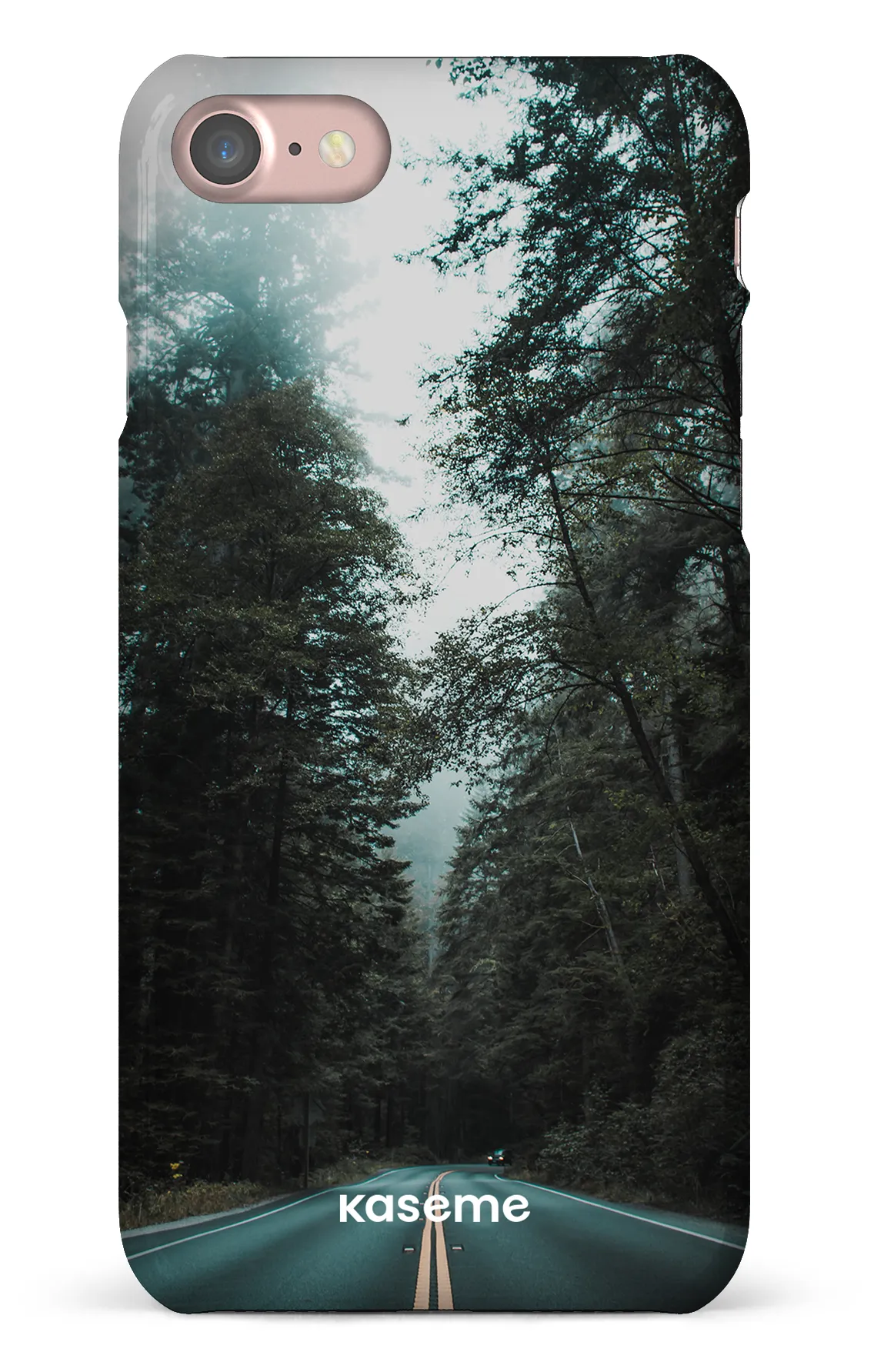 Sequoia