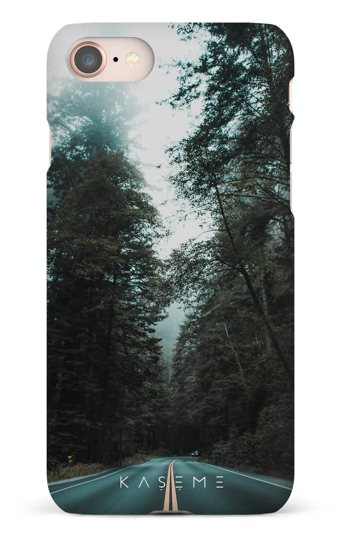 Sequoia
