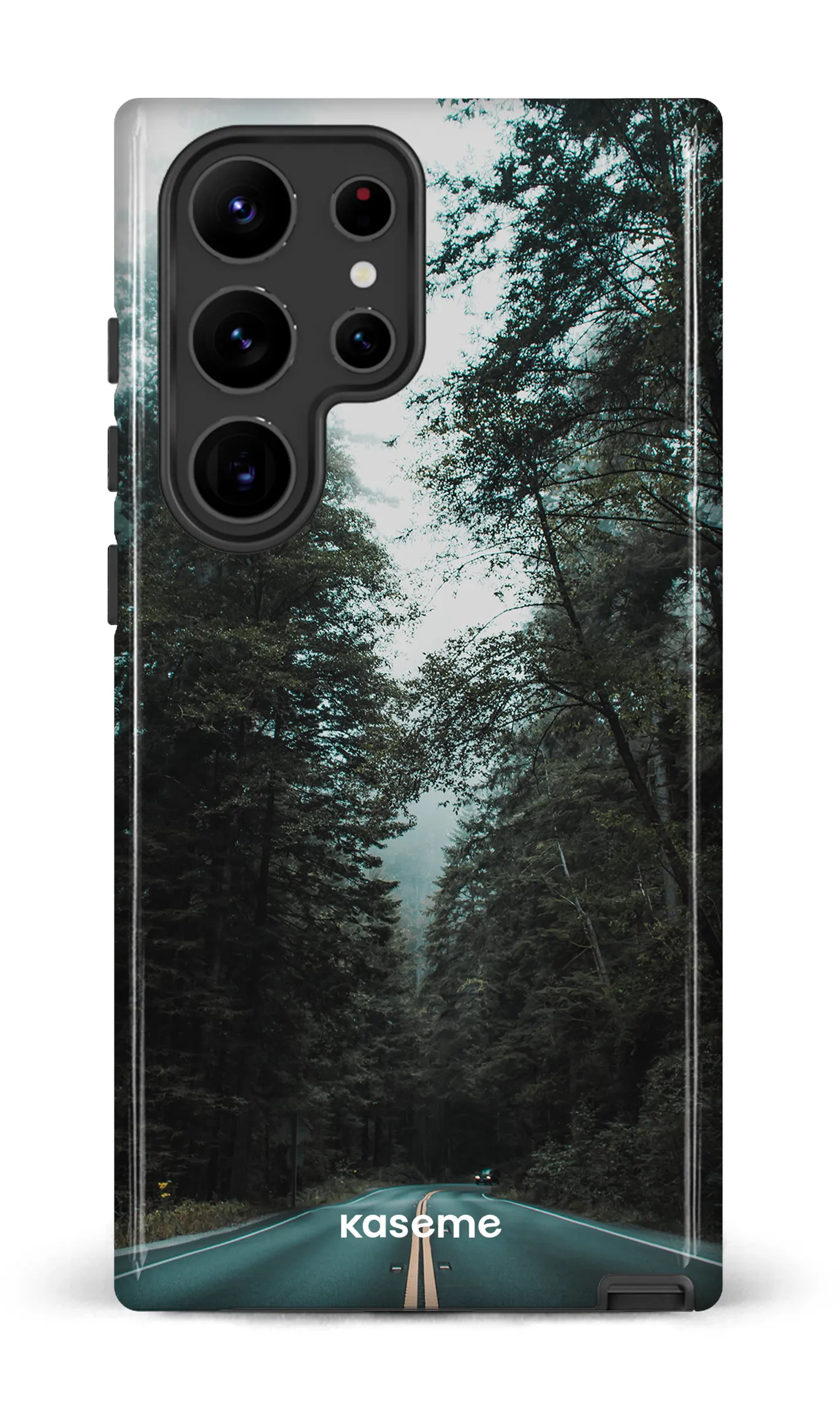 Sequoia