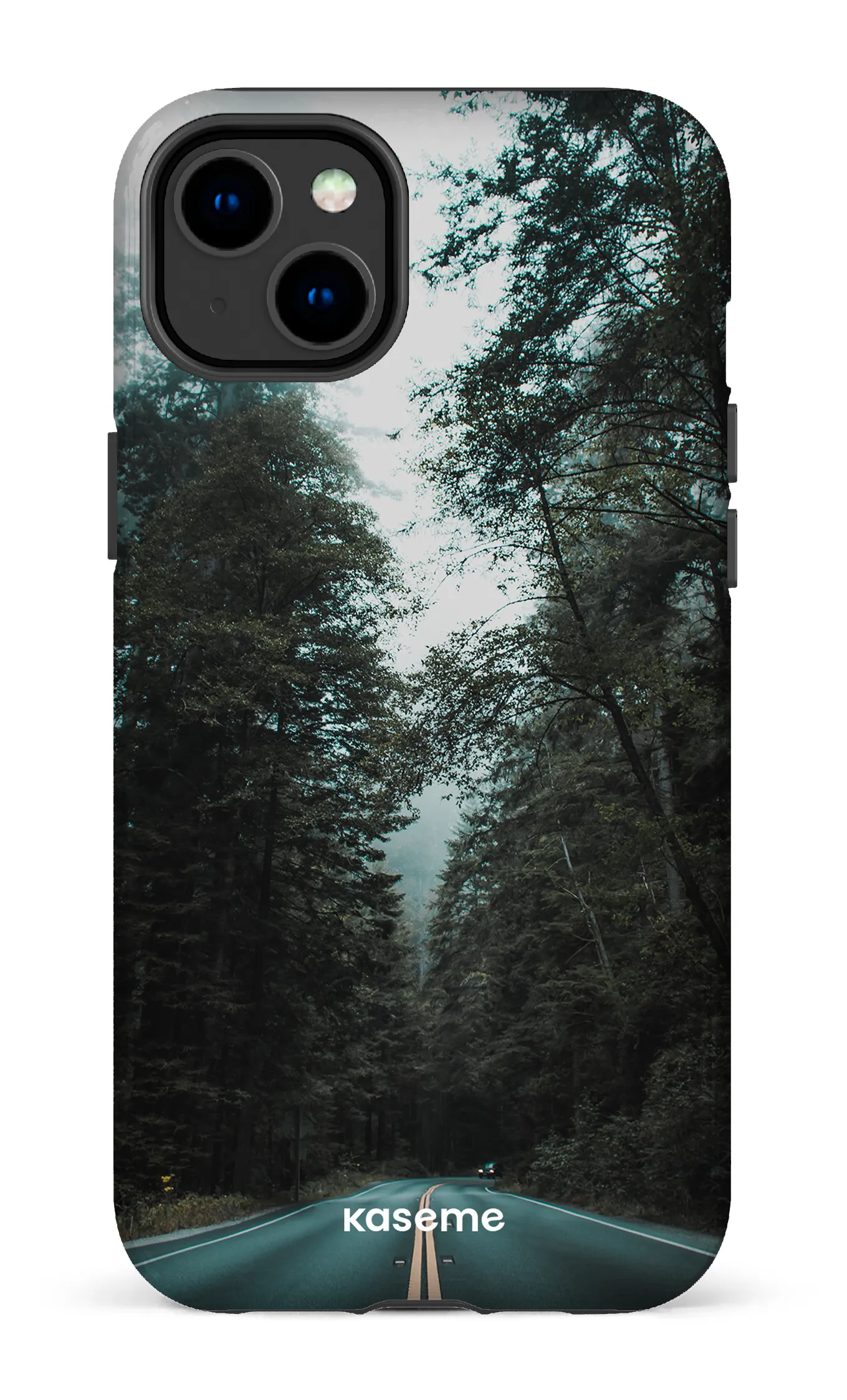 Sequoia