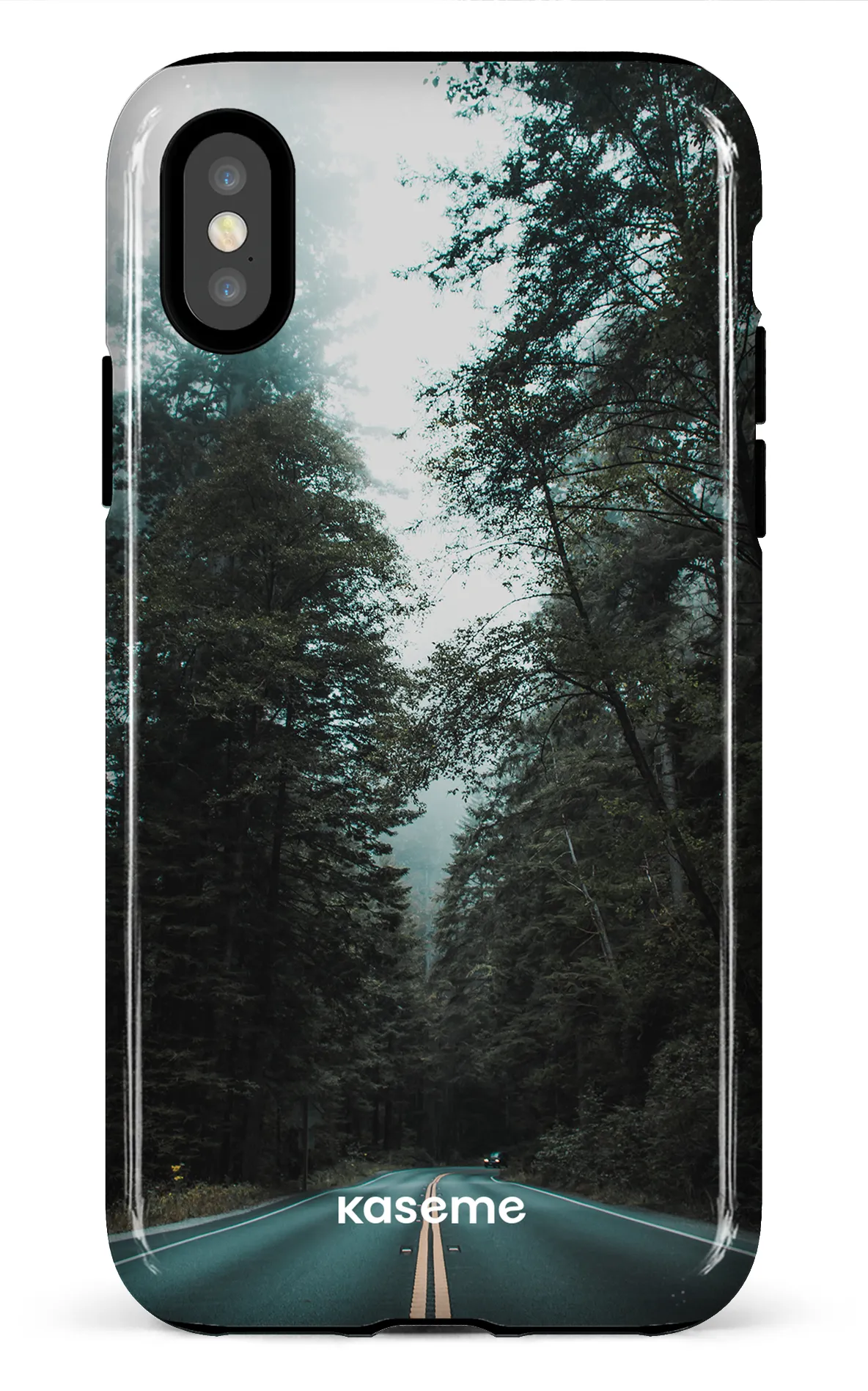 Sequoia