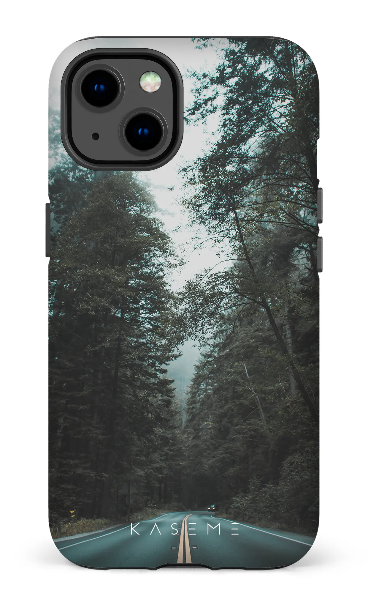 Sequoia