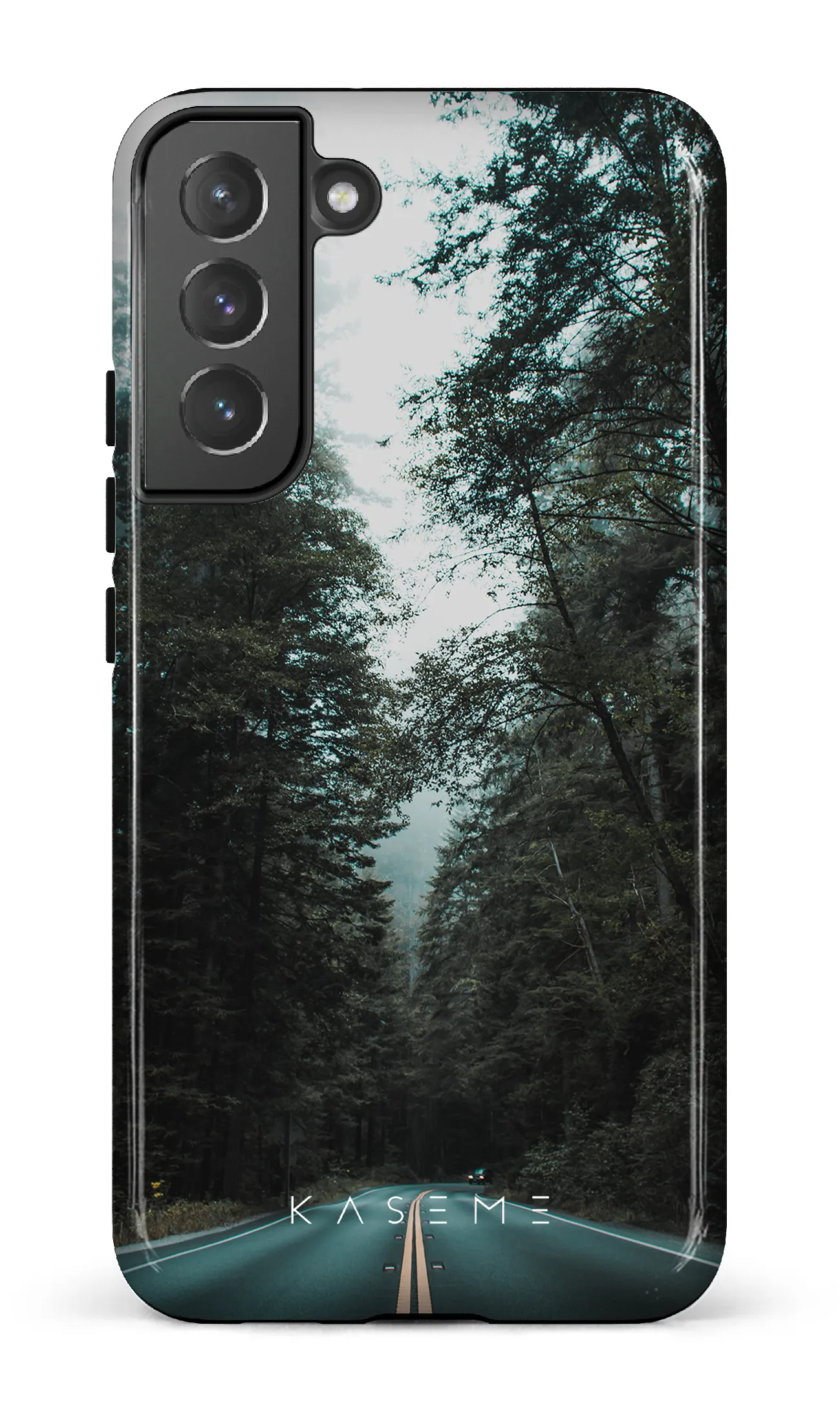 Sequoia