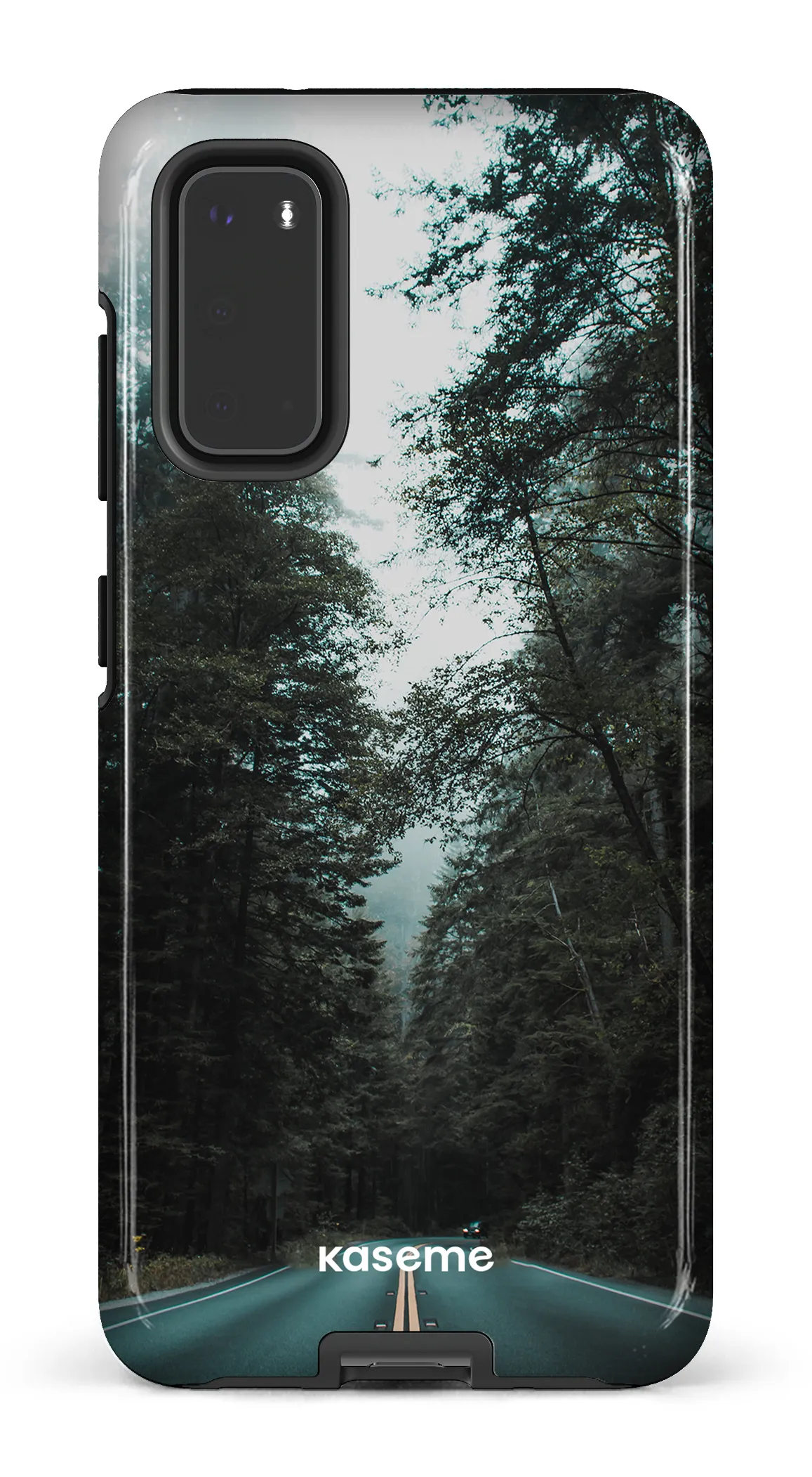 Sequoia