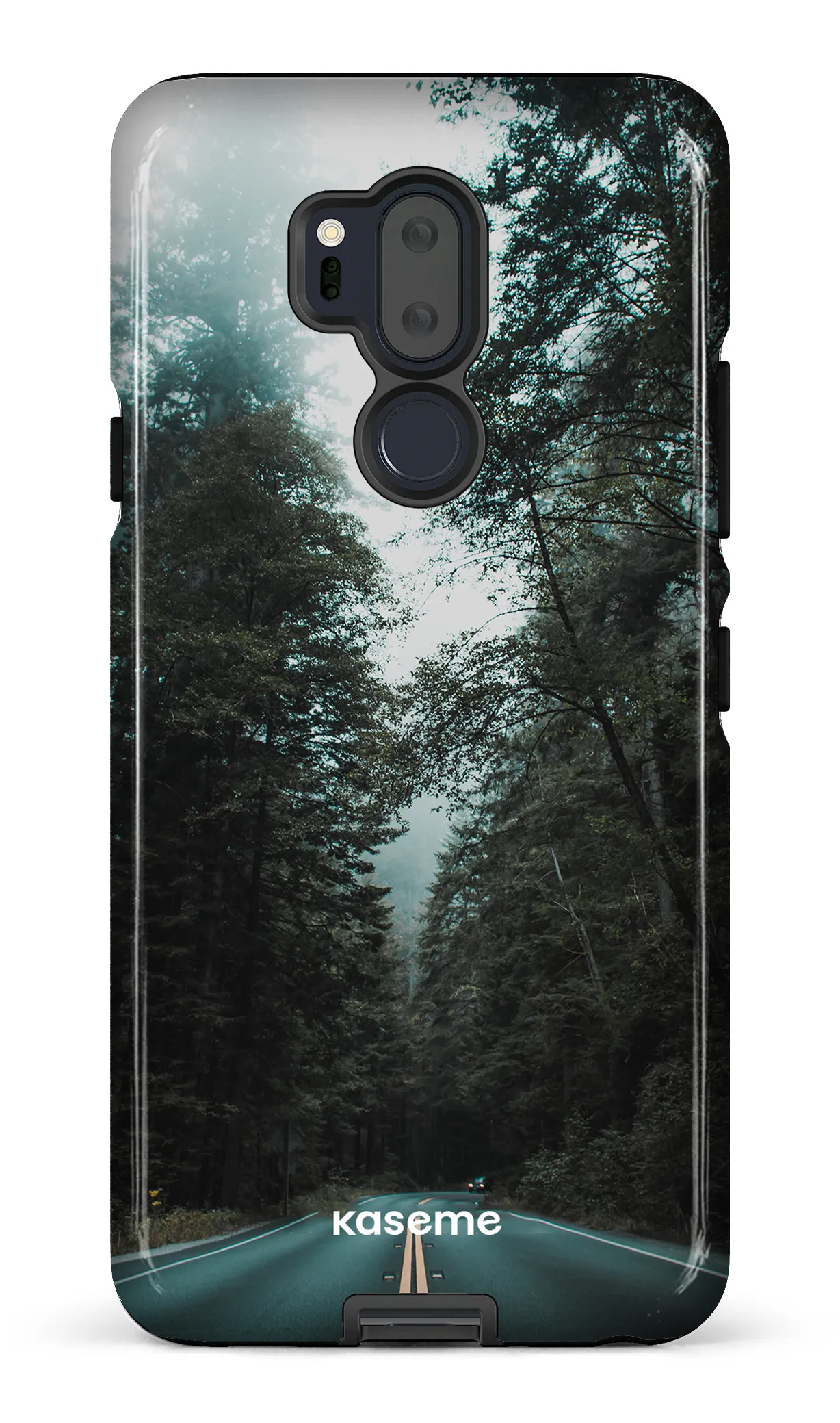 Sequoia