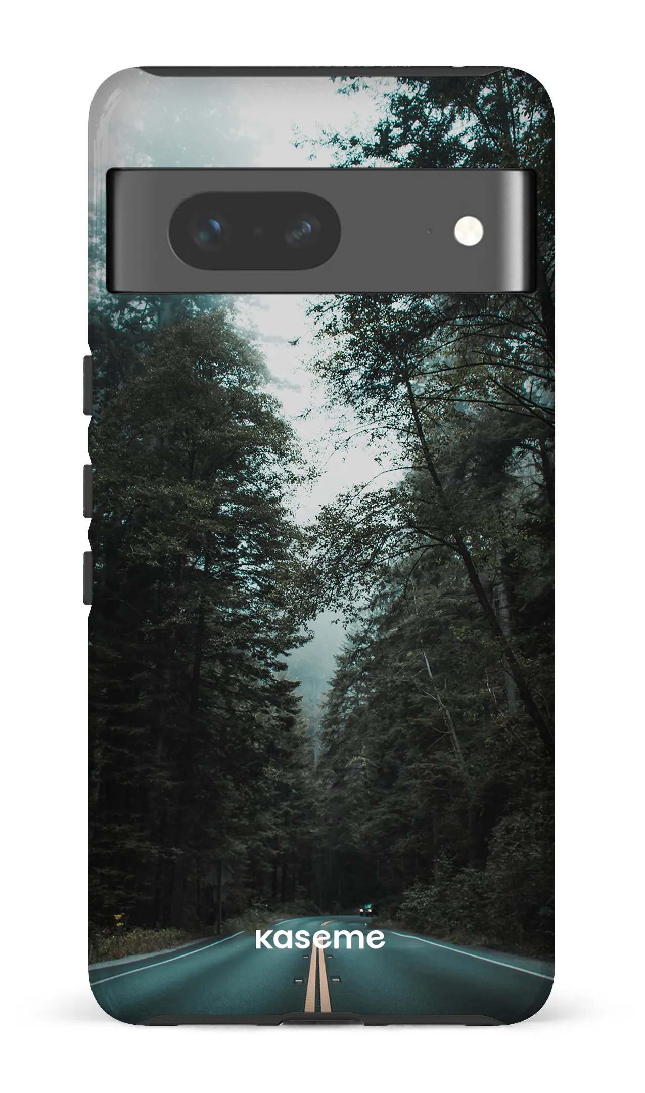 Sequoia